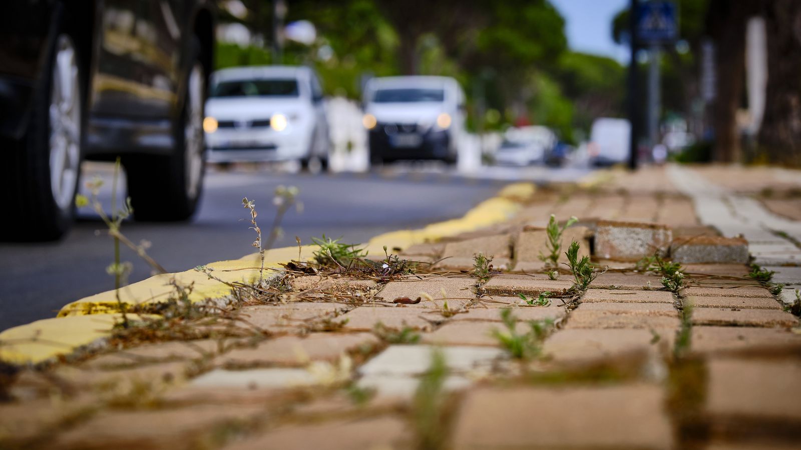 Pavimento en mal estado, susceptible de provocar tropiezos, caidas y accidentes.