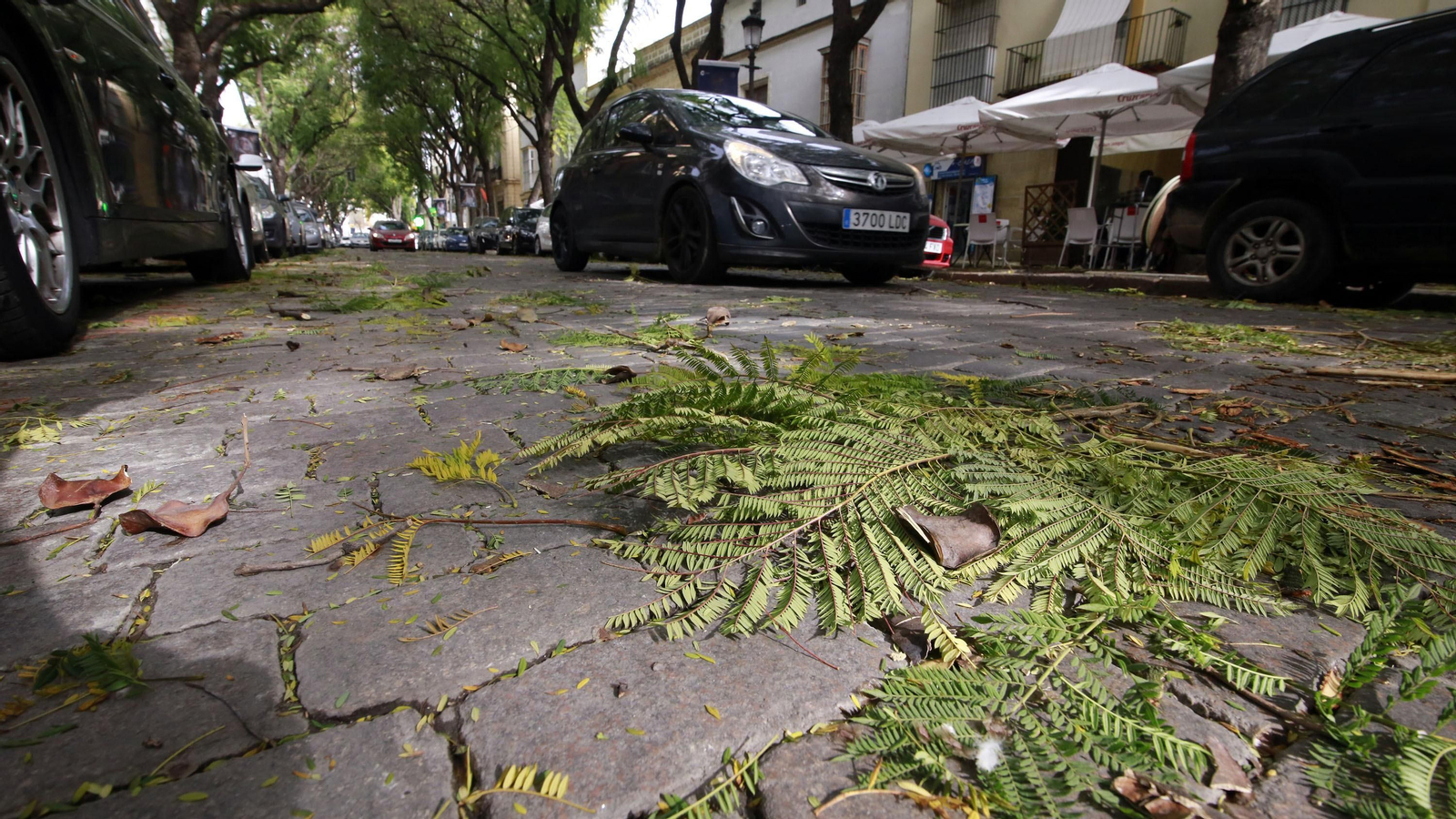 Imágenes de los destrozos ocasionados por el fuerte temporal
