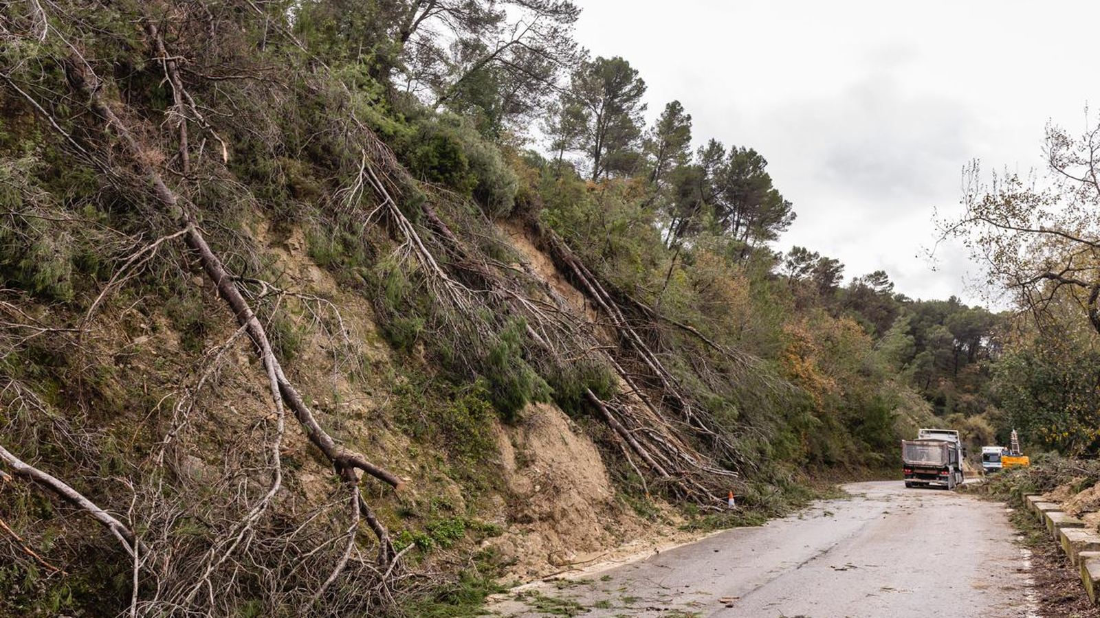 Carretera de Benamahoma, que está cortada.