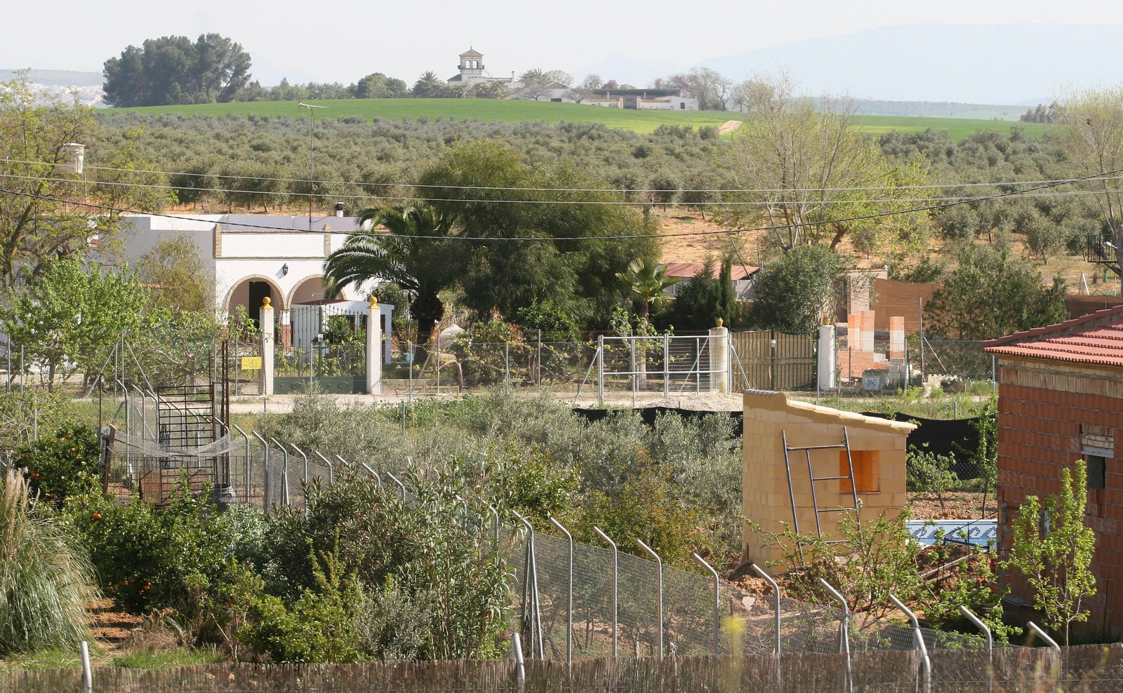 Una imagen de archivo de viviendas en una zona rural de Arahal.