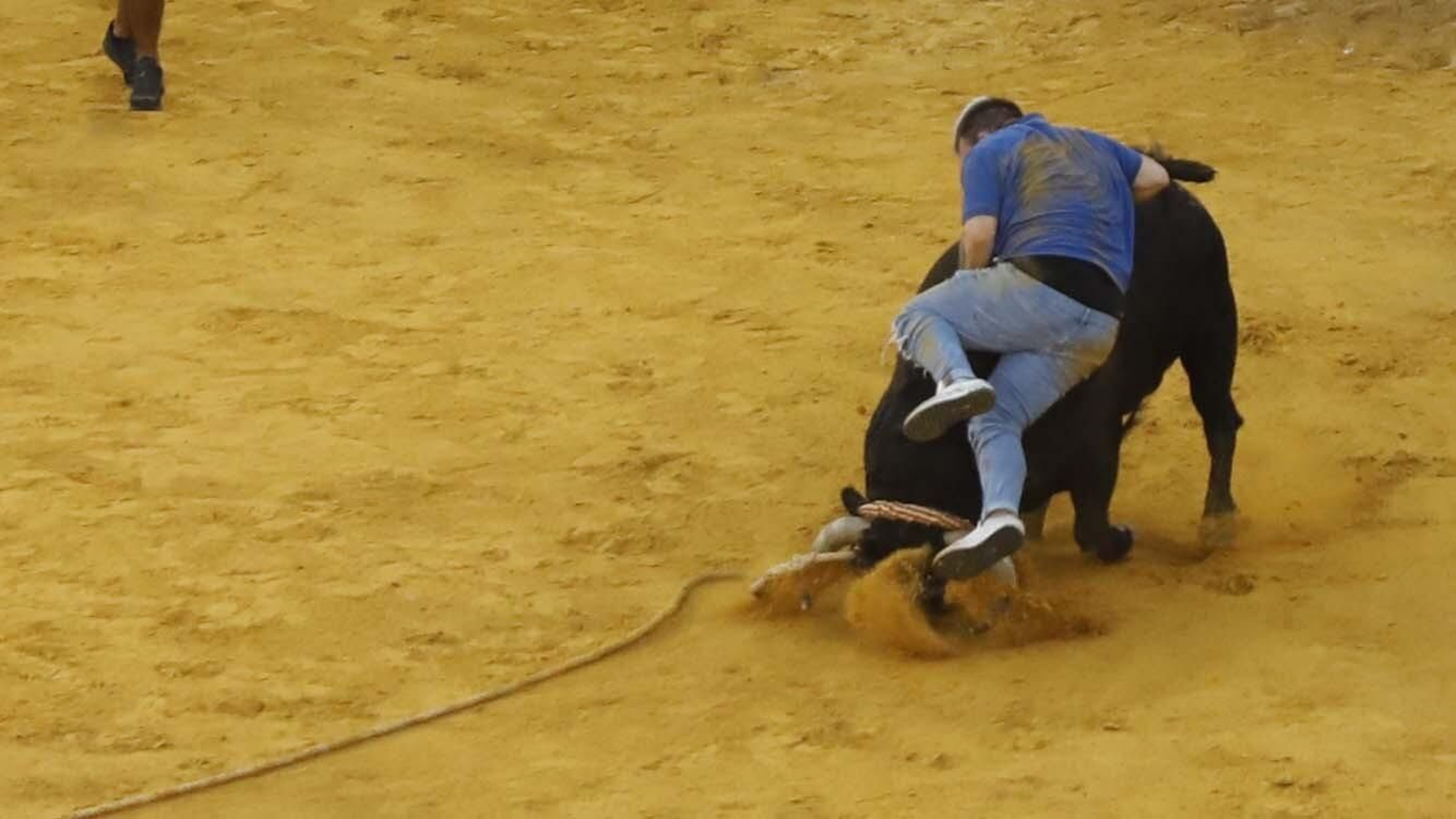 Las fotos del Toro del Aguardiente de San Roque