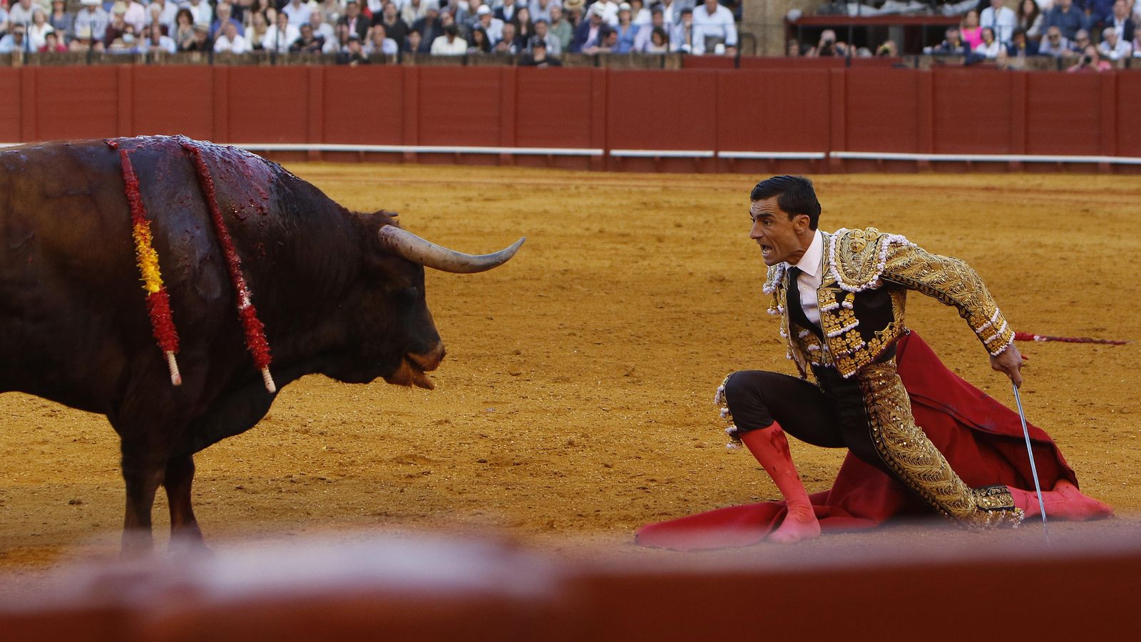 Paco Ureña desafía a uno de los toros de Matilla.