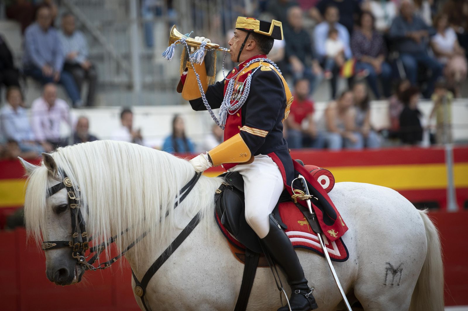 La exhibición del Ejército en la Plaza de Toros de Granada, en imágenes