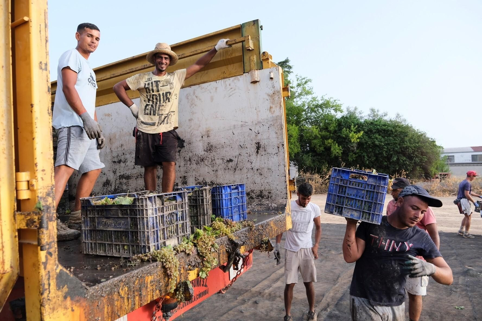 La vendimia en una pasera de Montilla-Moriles, en fotografías