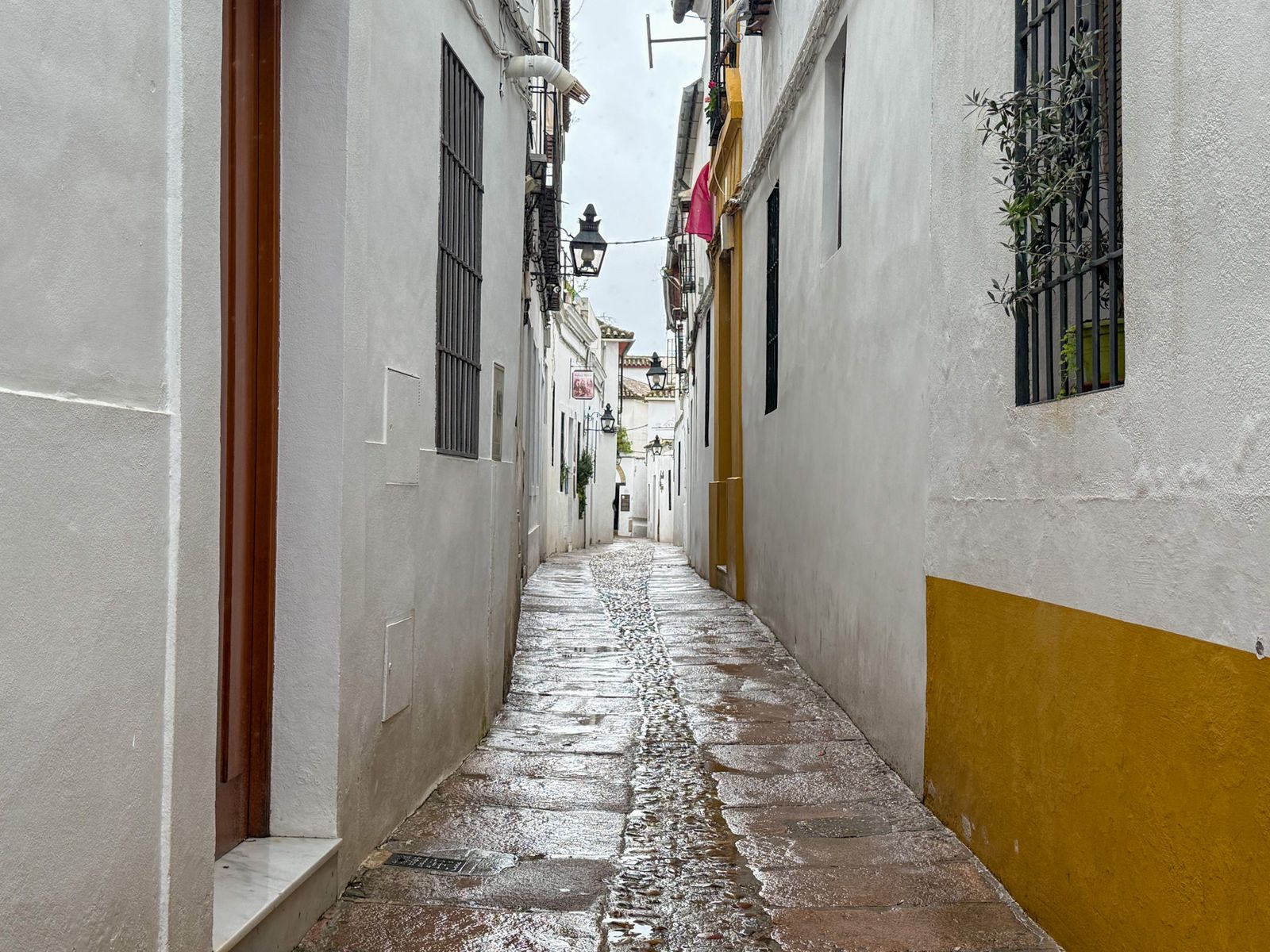 Las fuertes rachas de viento y la lluvia dejan las calles de Córdoba vacías