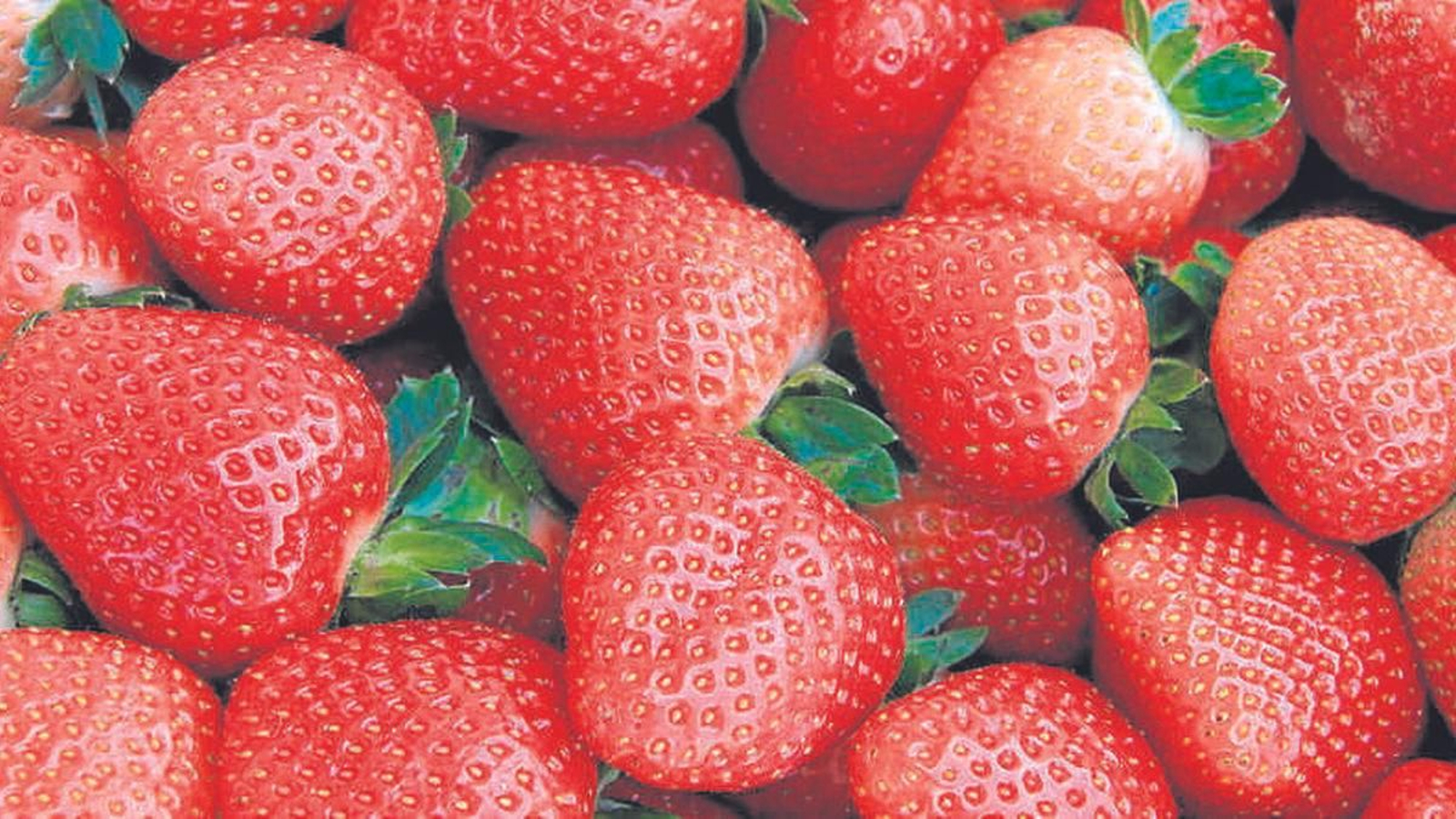 Ya se ha probado con éxito en diversos frutos.