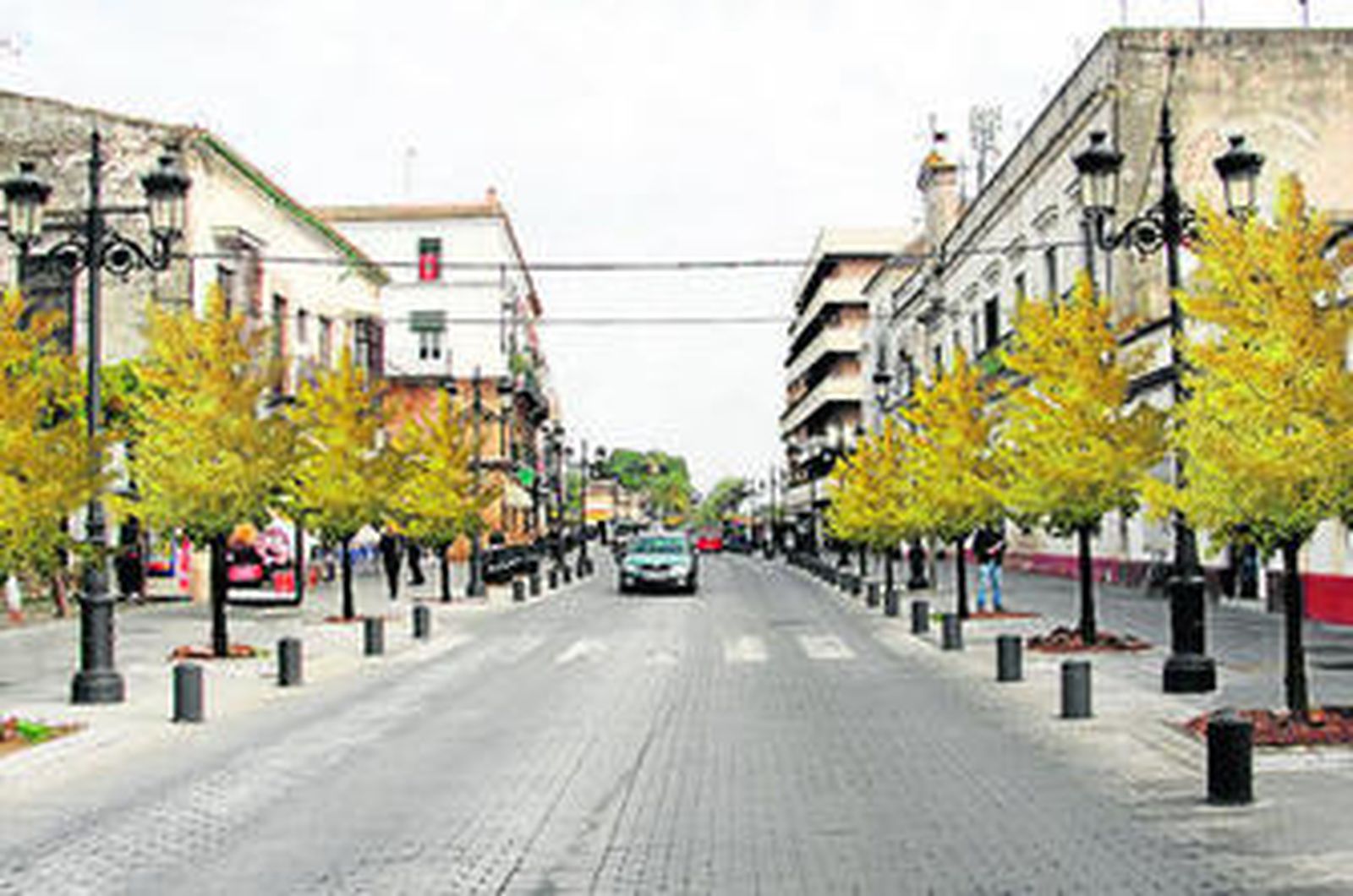 Recreación virtual del nuevo arbolado, aunque en la realidad estarán más separados porque habrá menos alcorques.