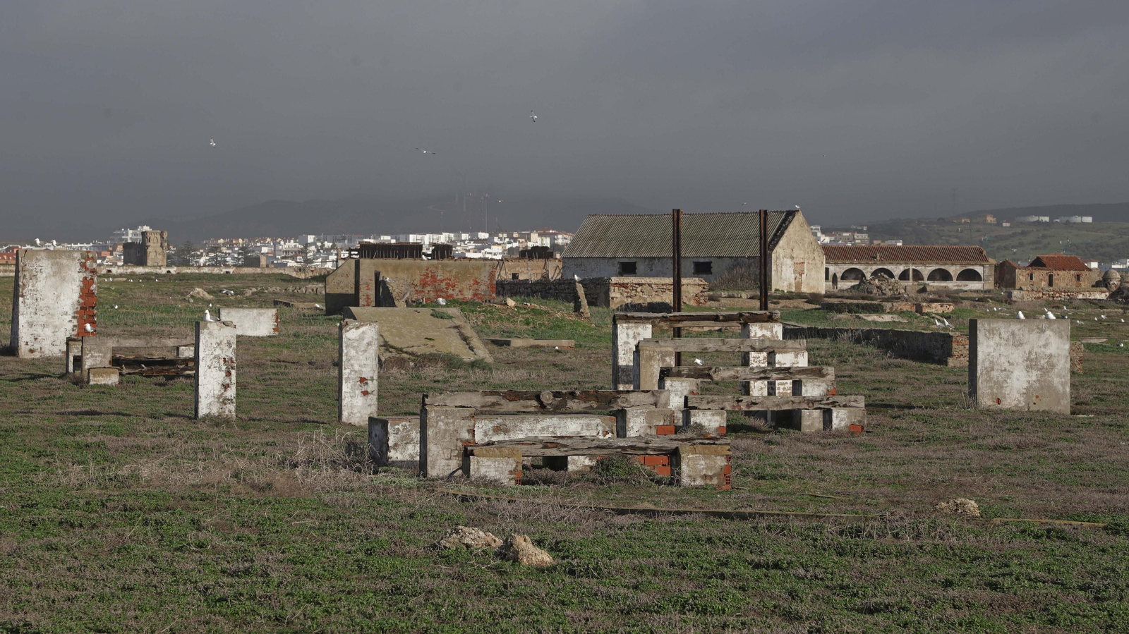 Fotos de la Isla de Las Palomas en Tarifa