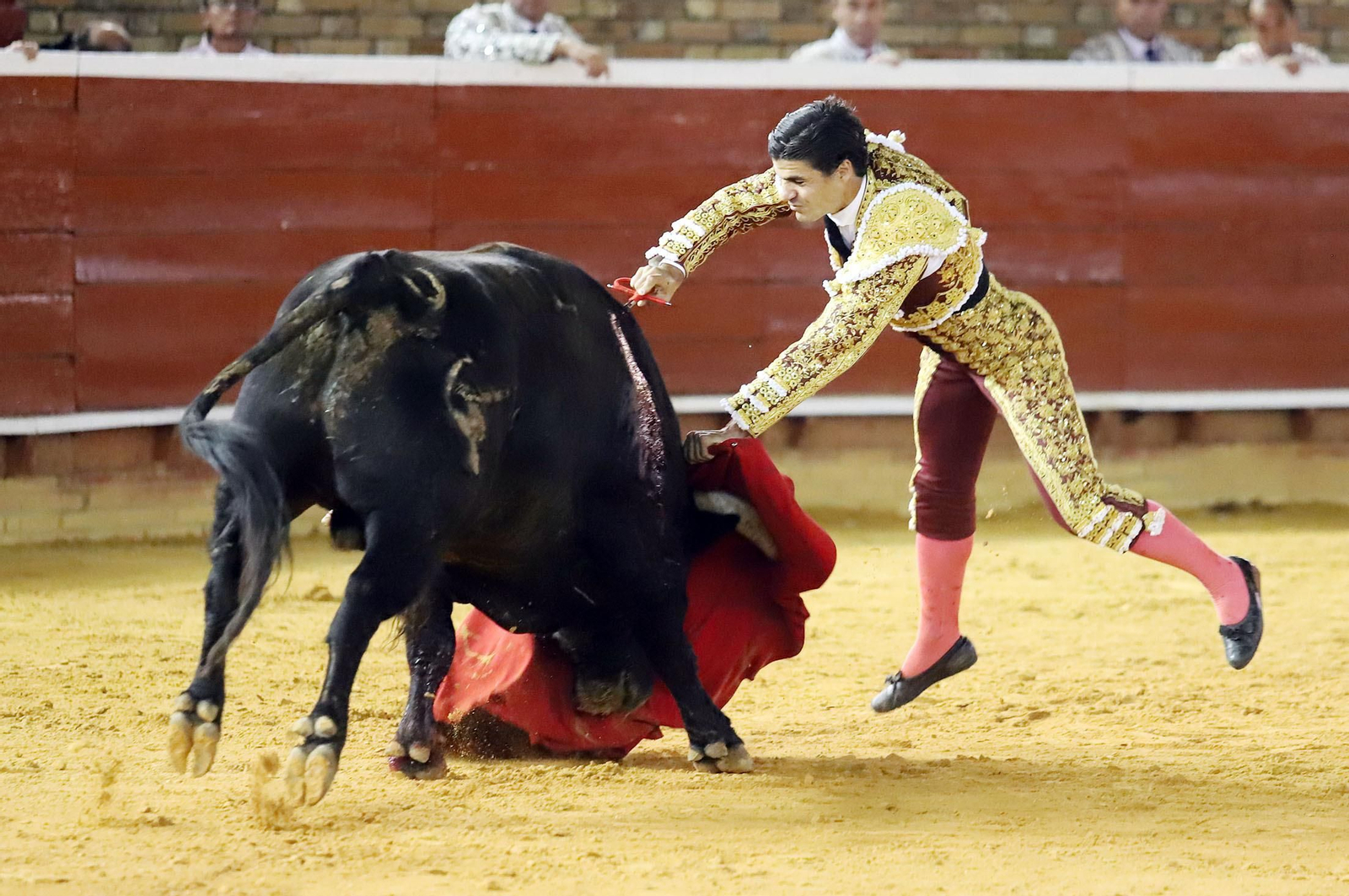 Imágenes de Morante de la Puebla, David de Miranda y Pablo Aguado en la Plaza de Toros La Merced