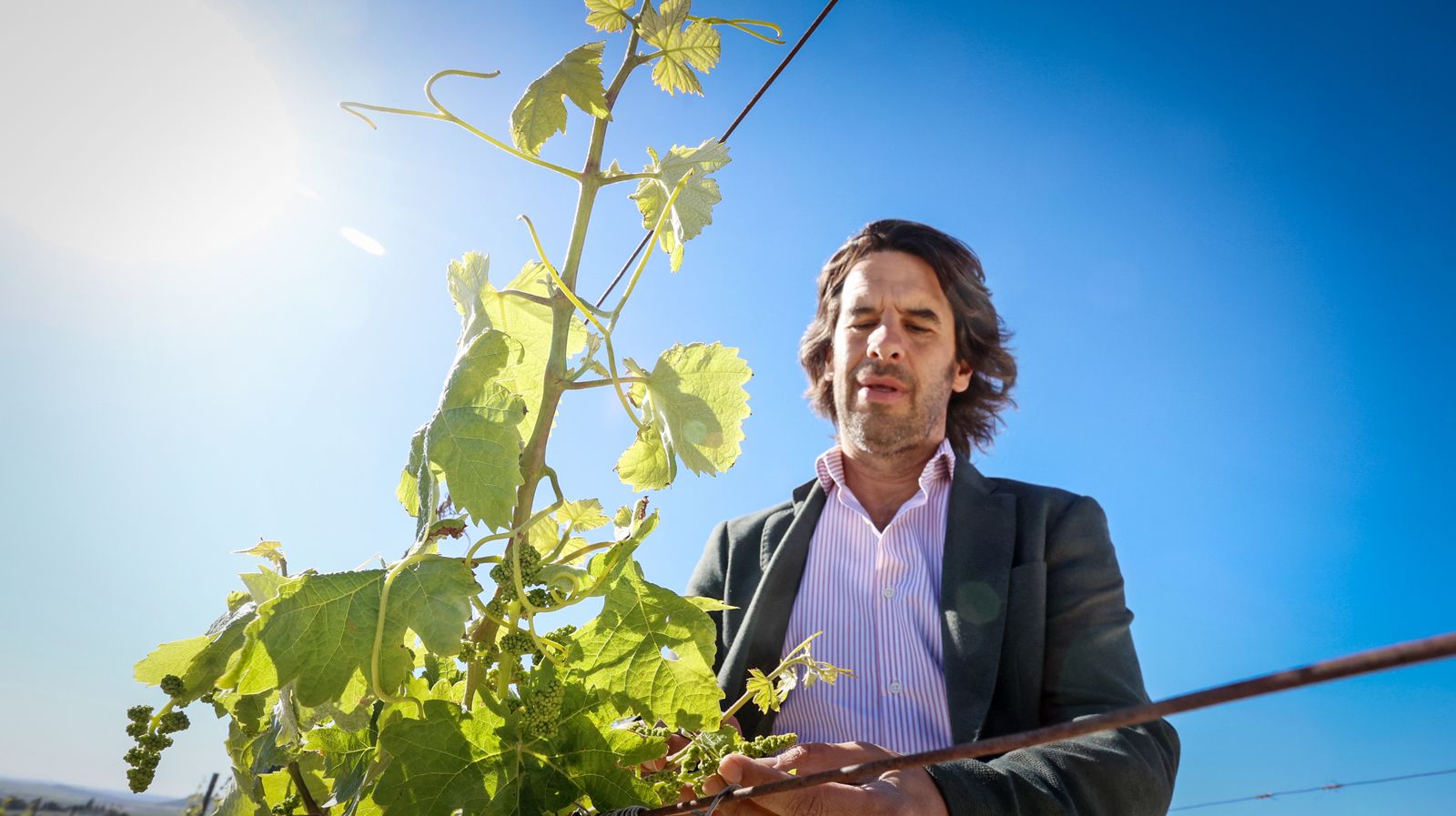 Santiago Jordi y los vinos de pasto de Patrick Murphy