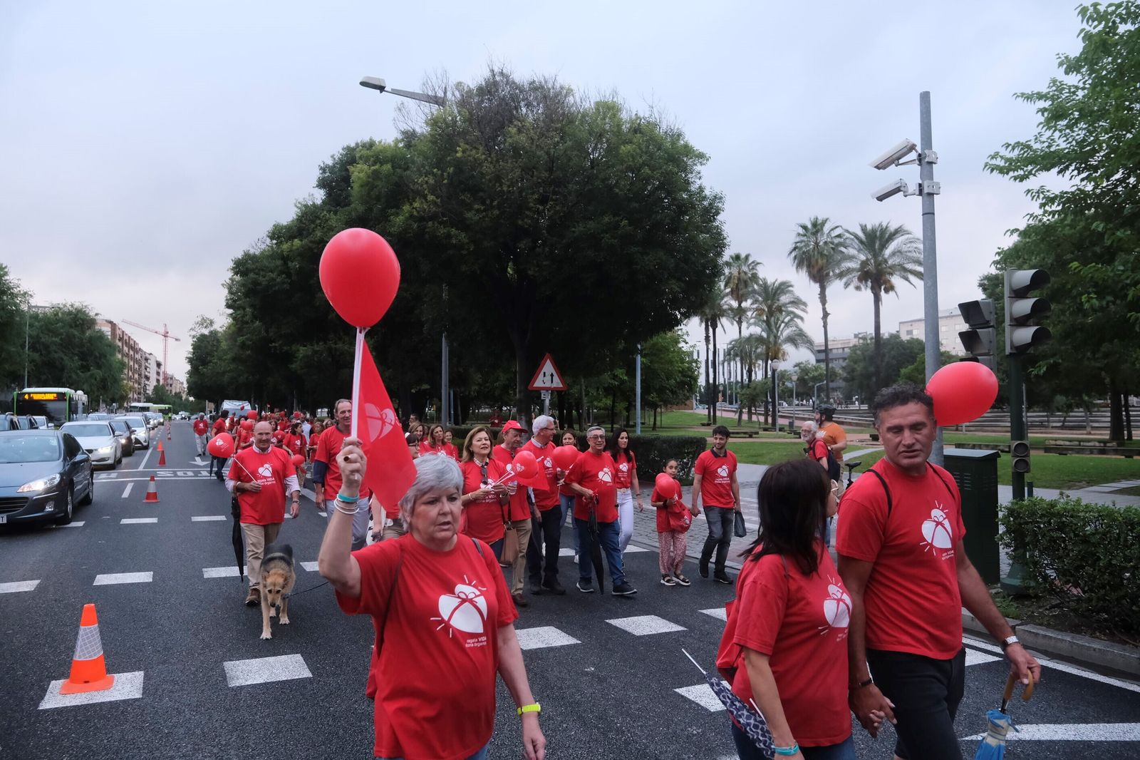 La marcha por la donación tiñe de rojo las calles de Córdoba, en imágenes