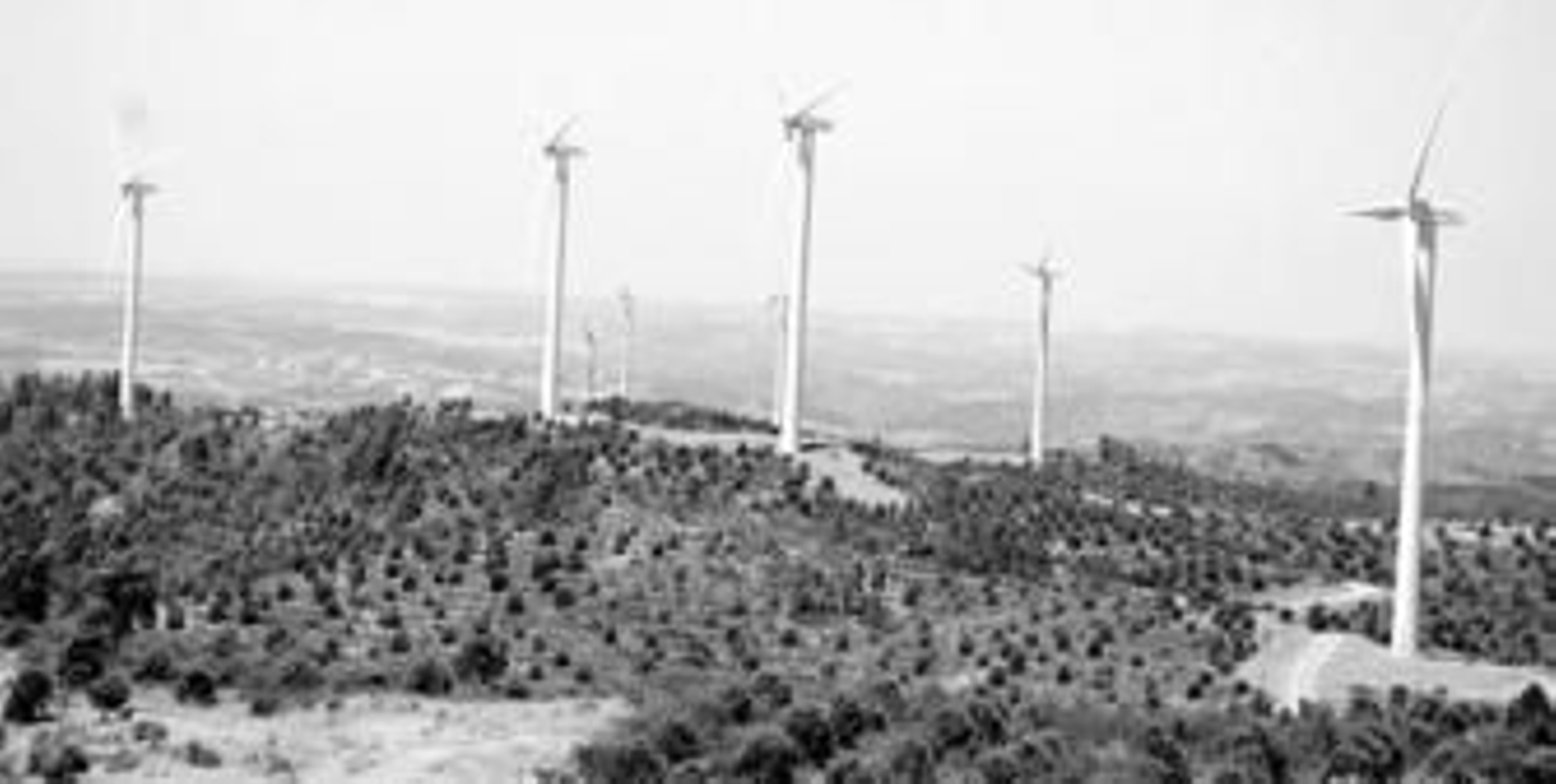 La potencia eólica se multiplicará por 8 con los parques en ejecución