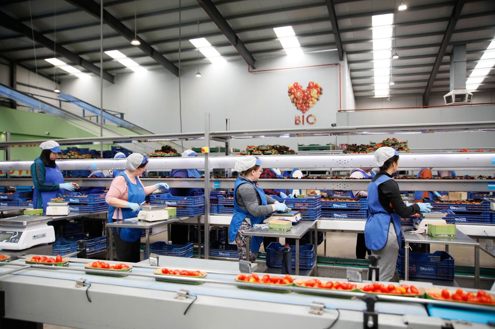 Almería se afianza como uno de los motores del comercio exterior andaluz.