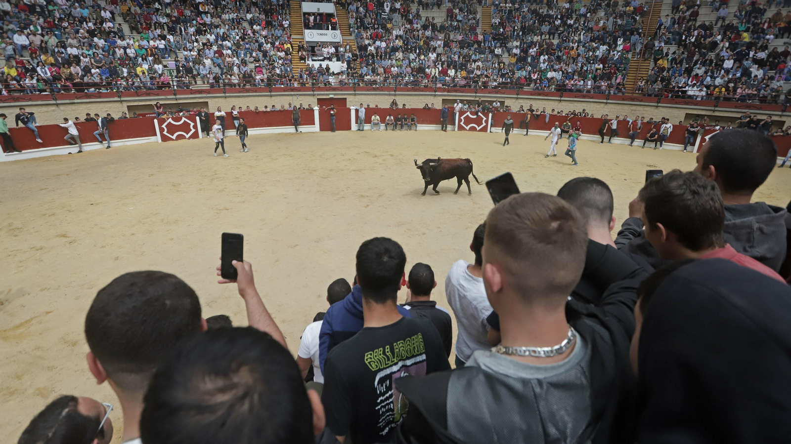 Imágenes del Toro Embolao de Los Barrios