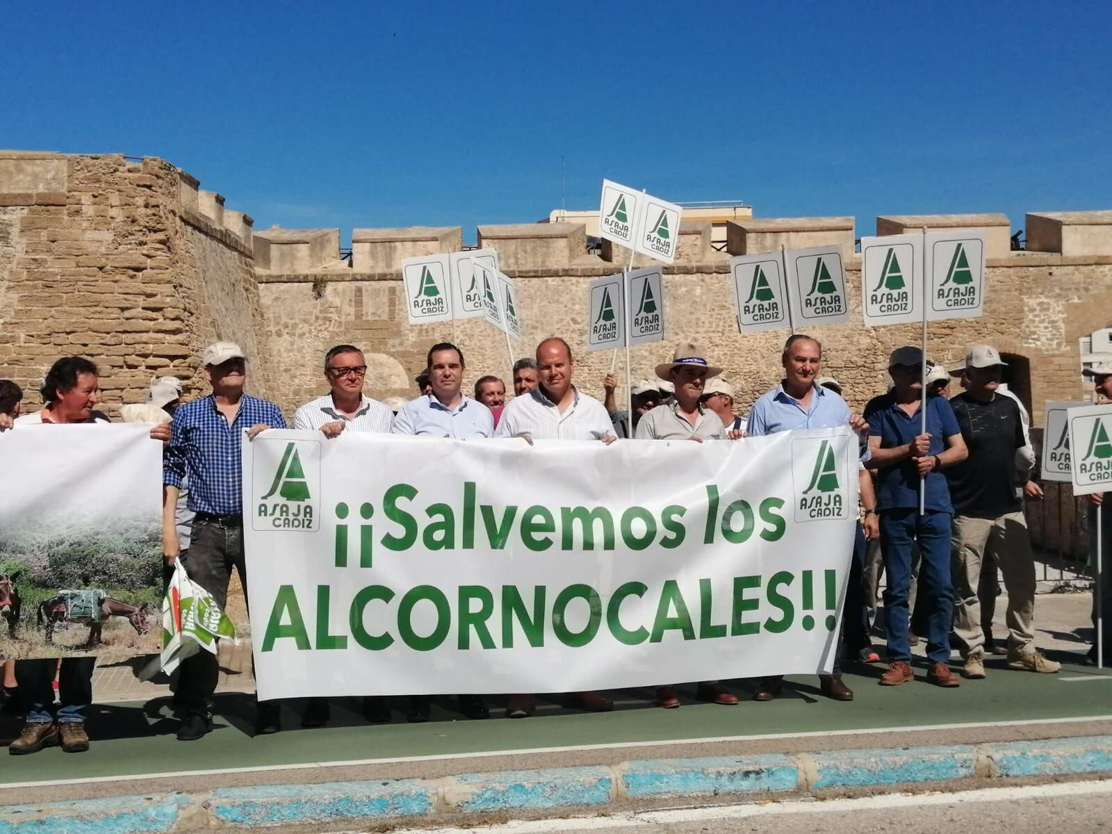 La concentración ante la Subdelegación del Gobierno en Cádiz.