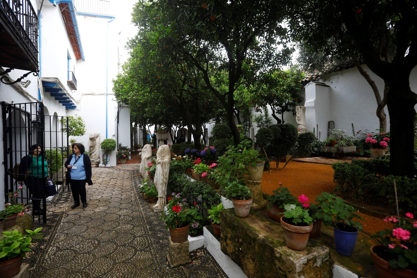 Los patios de Córdoba de la ruta Judería-San Francisco, en imágenes