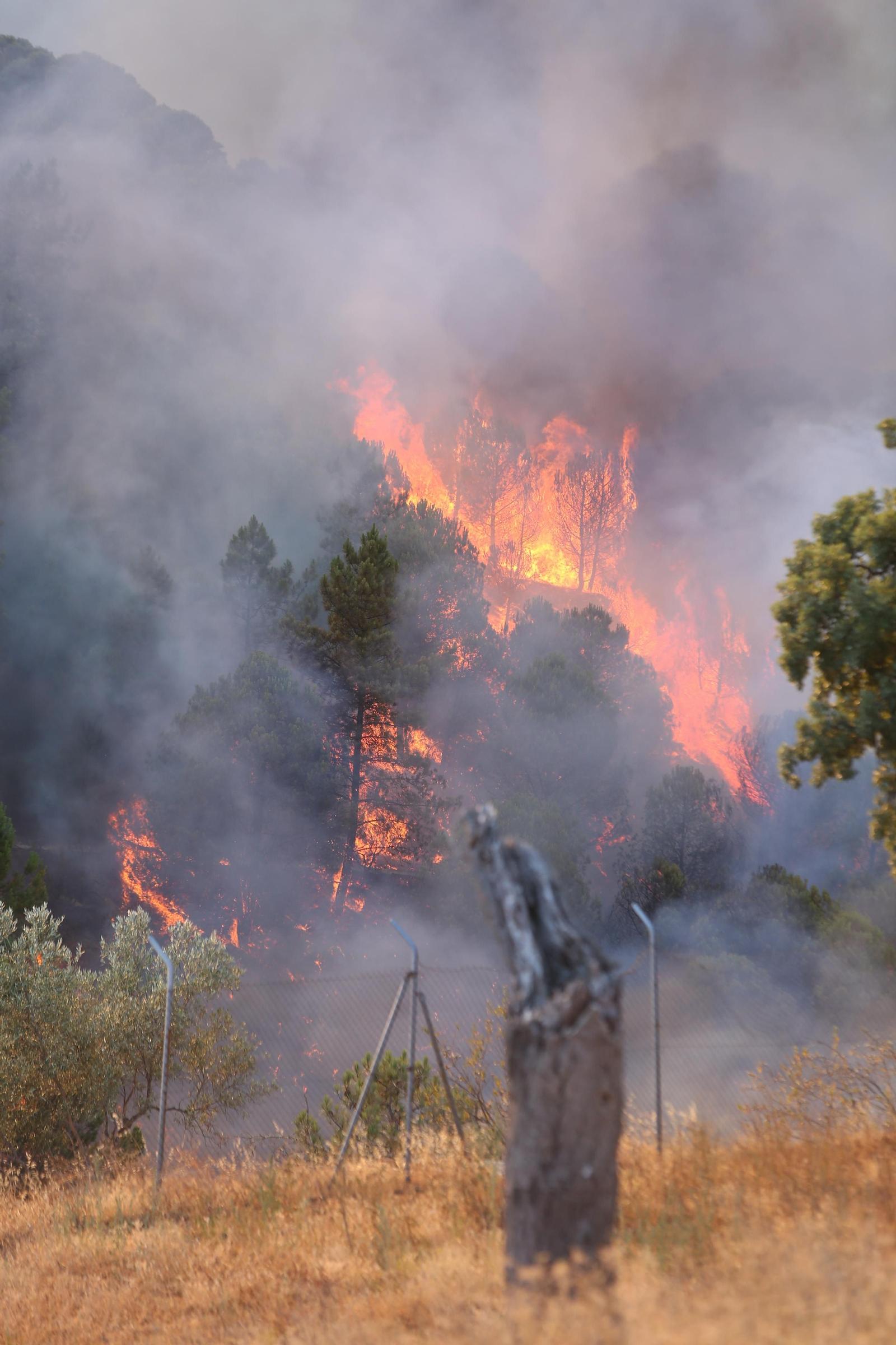 El incendio de Riotinto en imágenes
