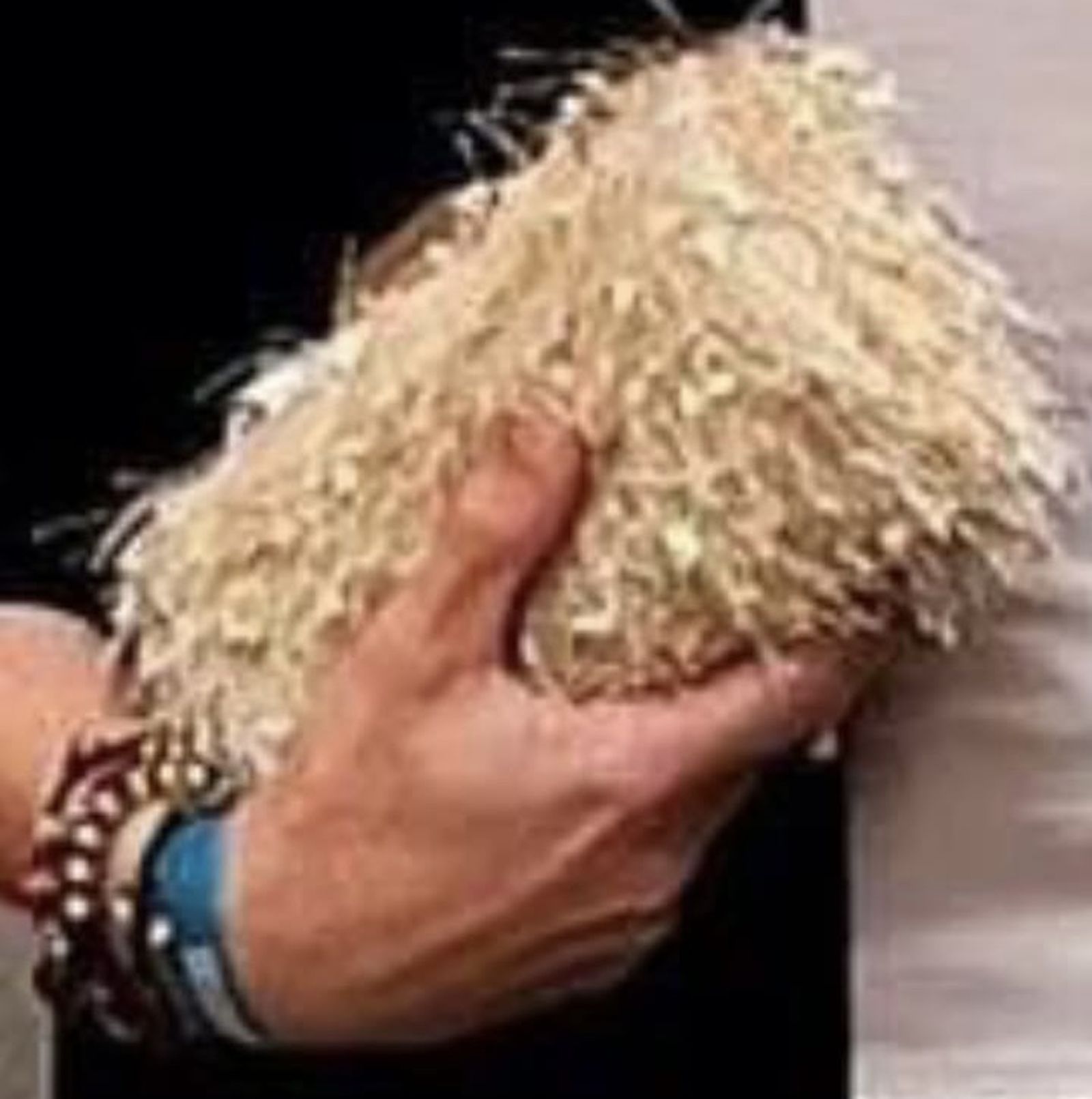 Adivina adivinanza:¿de quién es este bolso con forma de estropajo?