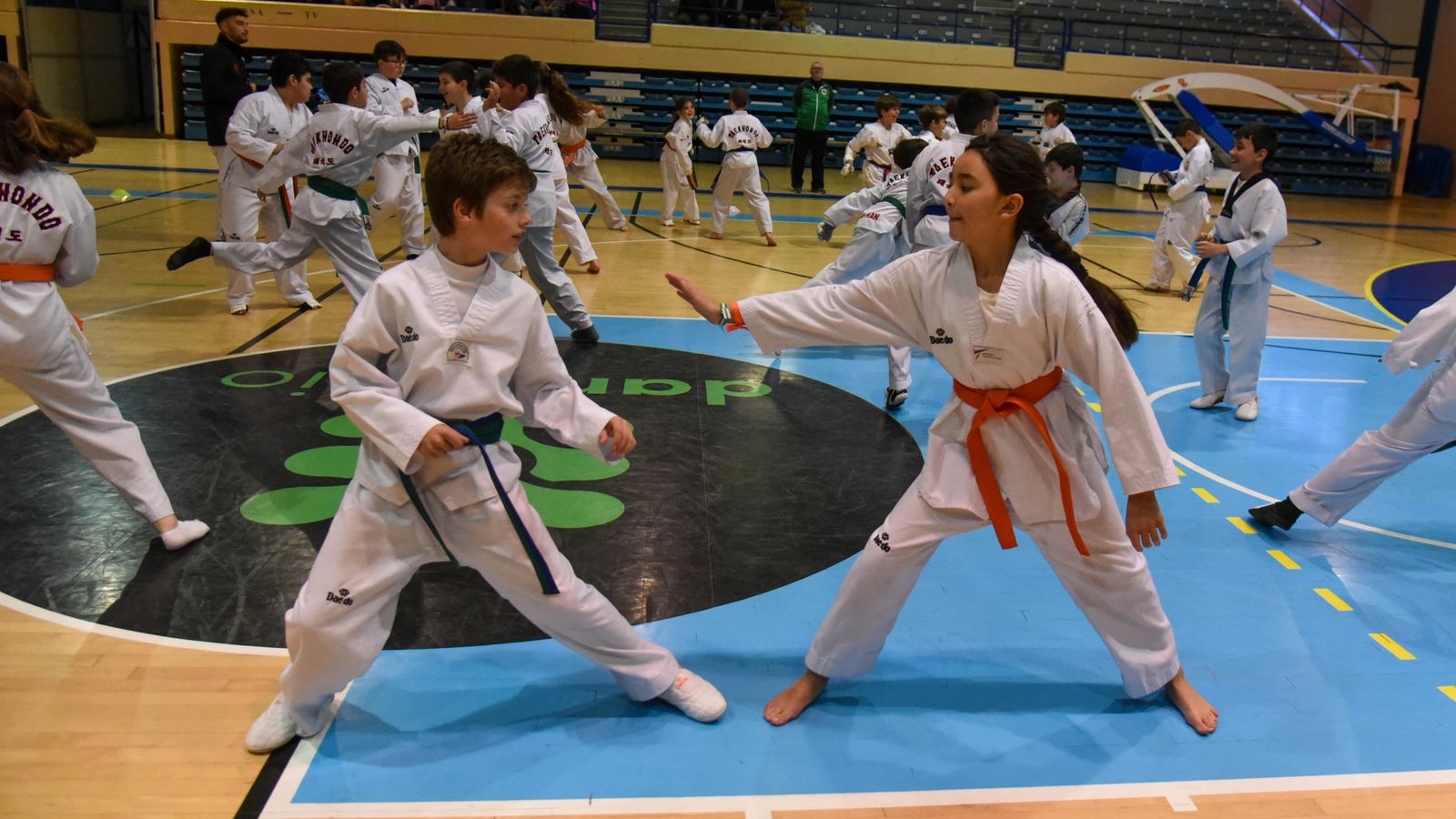 Las fotos de la concentración de Taekwondo Olimpico en Algeciras