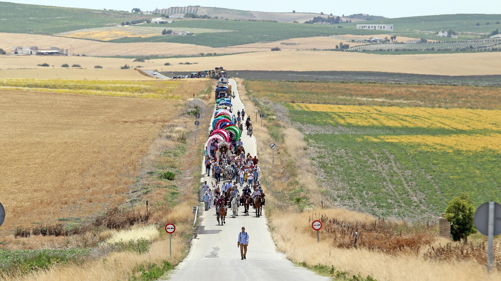 Imágenes de pasadas romerías de la Hdad de Jerez al Rocío