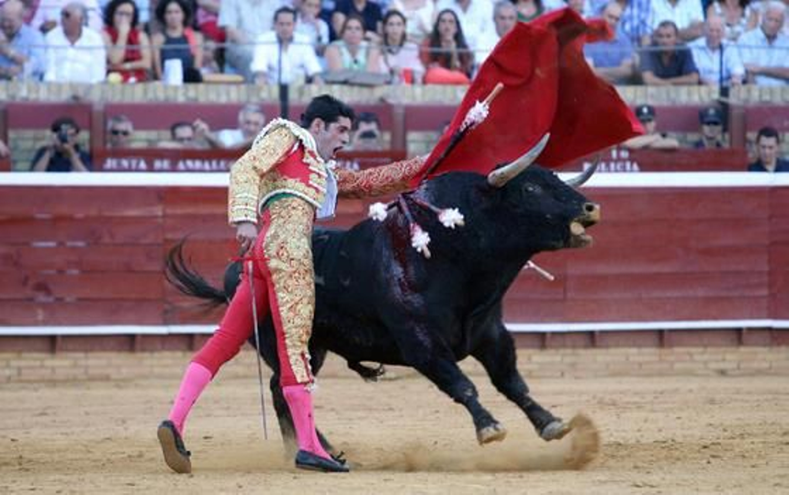 El Juli y Talavante se dan cita en la Merced en una tarde triunfal para ambos.

Foto: Espinola