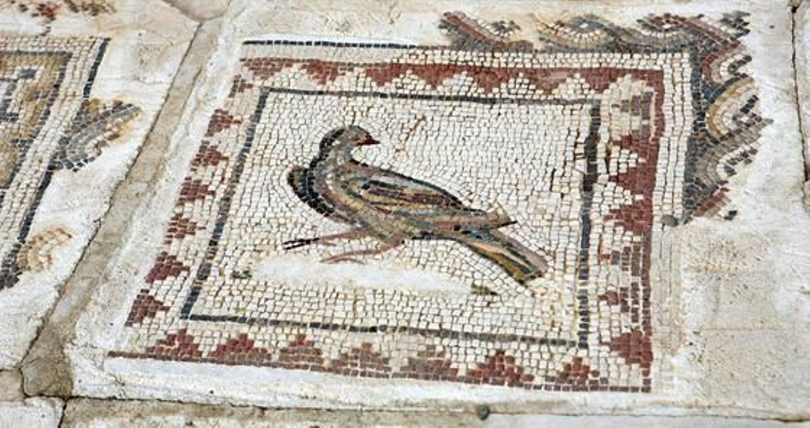 Foto: Juan Carlos Muñoz