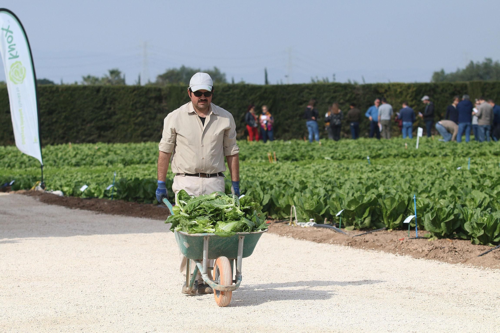 Fotogalería de las jornadas de puertas abiertas de Rijk Zwaan en Cartagena
