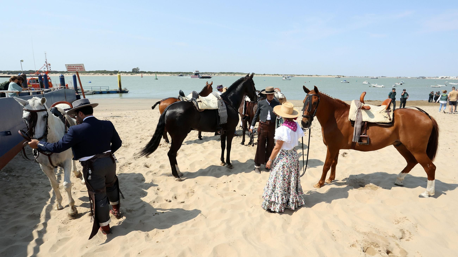 La Hdad del Rocío de Jerez de Bajo Guía a Doñana
