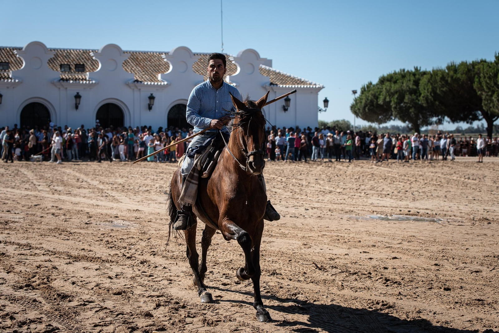 Imágenes de la Saca de las Yeguas a su paso por El Rocío