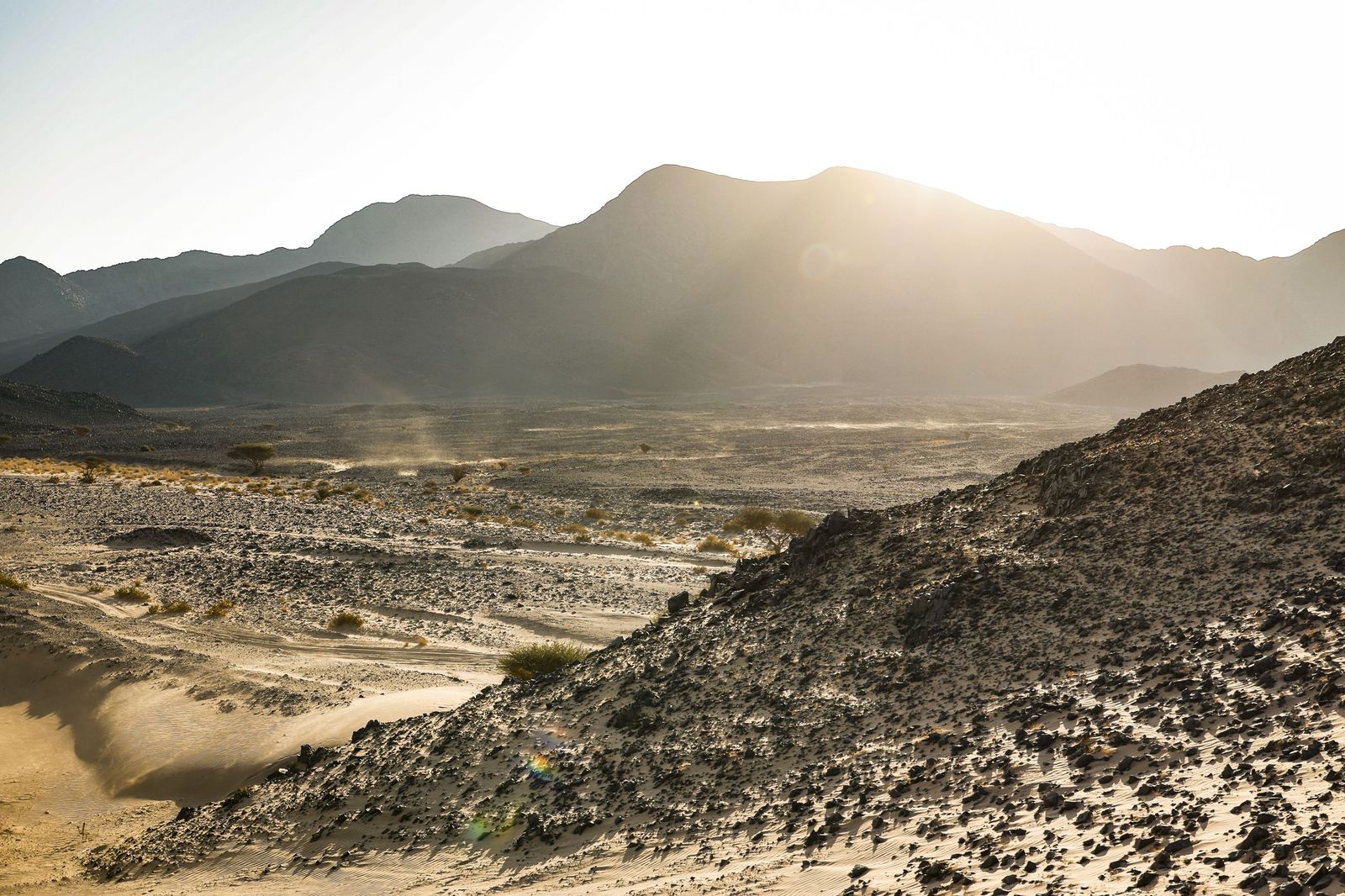 Las mejores fotos del Rally Dakar | Novena etapa