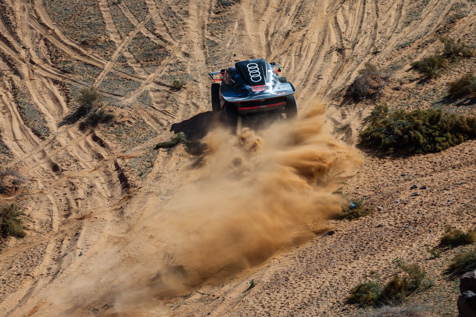 La etapa 9 del Rally Dakar, en fotos