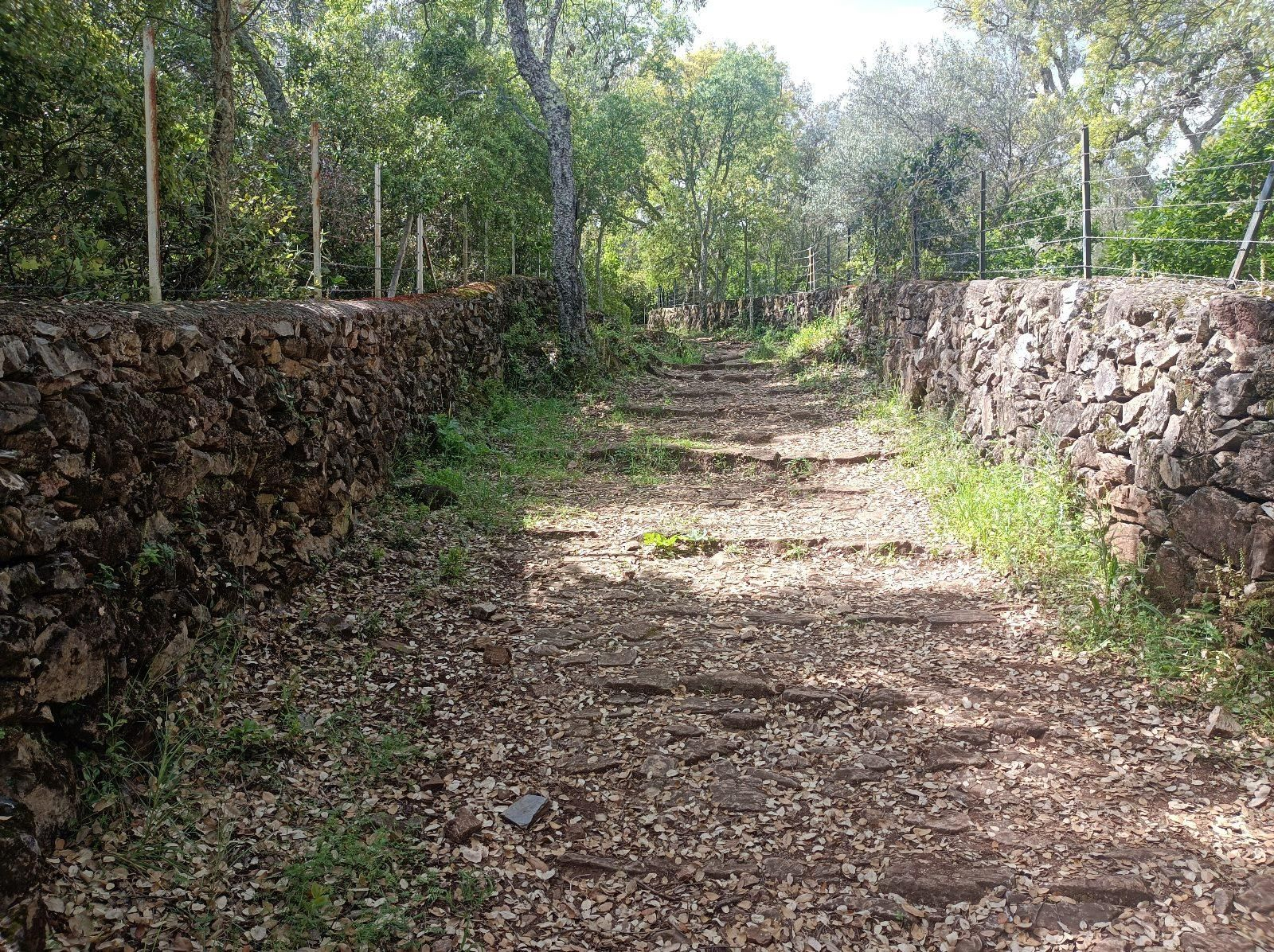 Las fotos de la ruta circular entre Aracena y Corteconcepción
