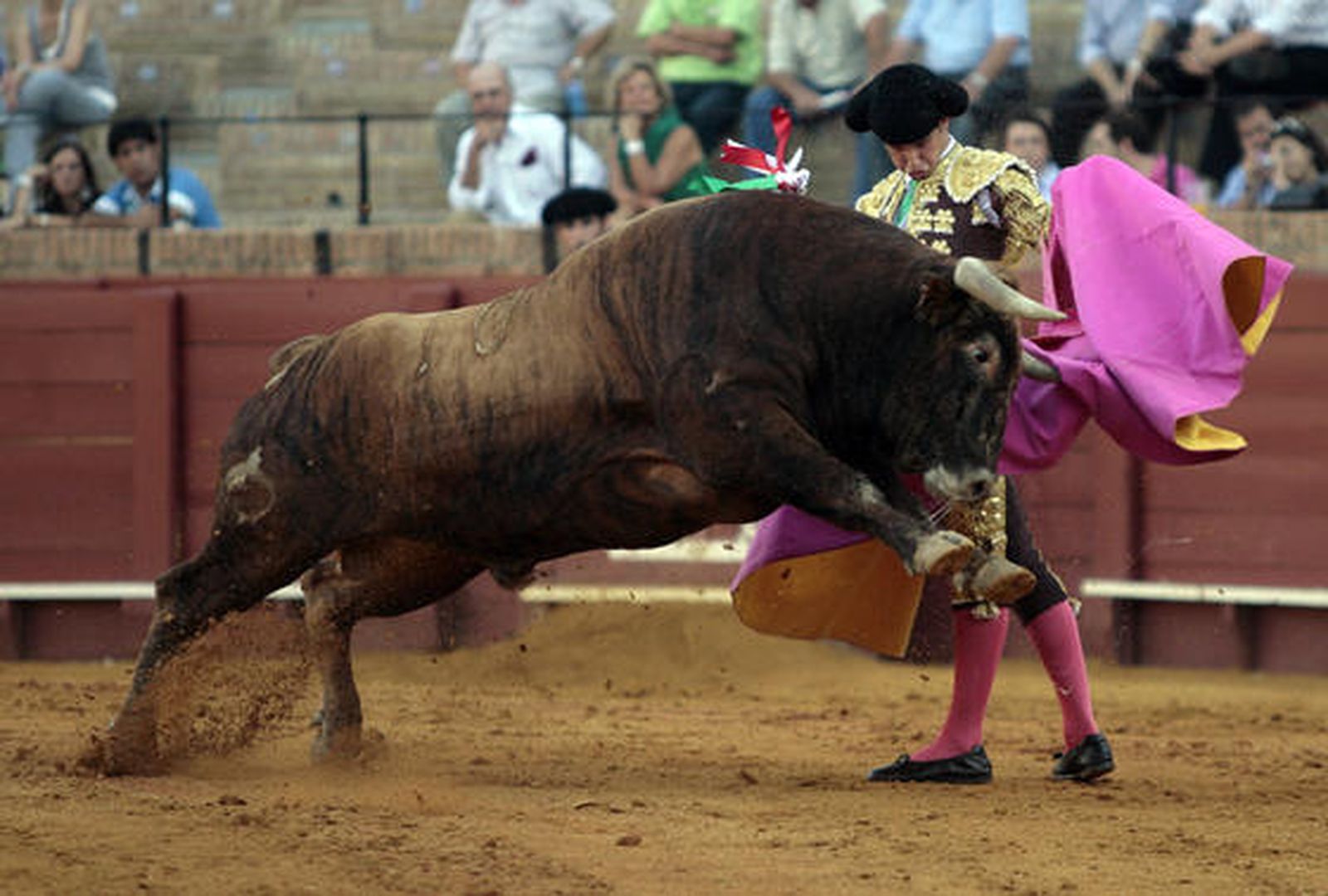 Espaliú durante un momento de la tarde.

Foto: Juan Carlos Muñoz
