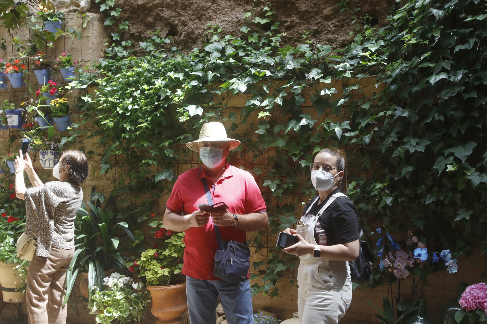 Ruta Alcázar Viejo de los Patios de Córdoba, en imágenes