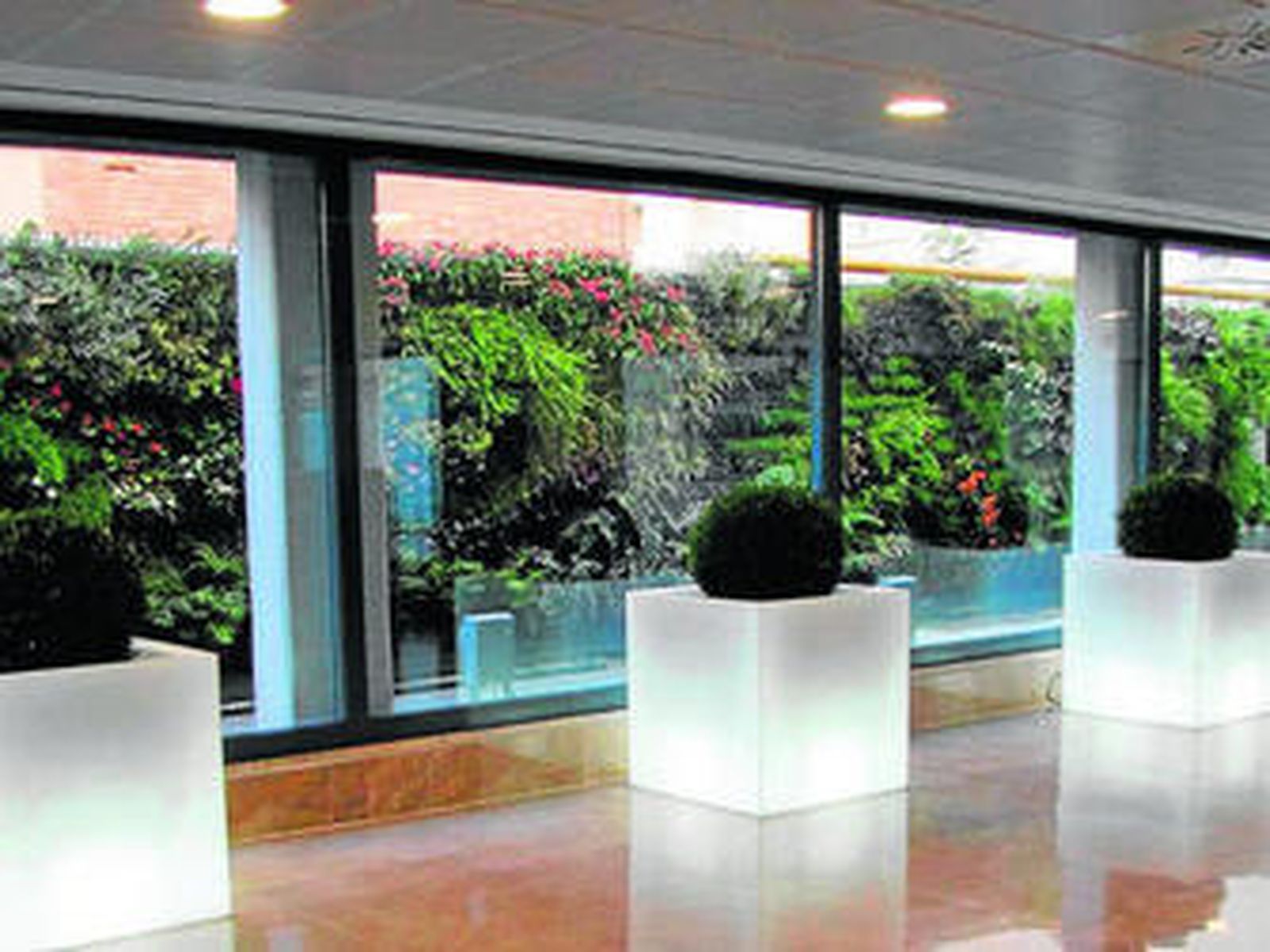 El primer jardín vertical en un centro hospitalario.