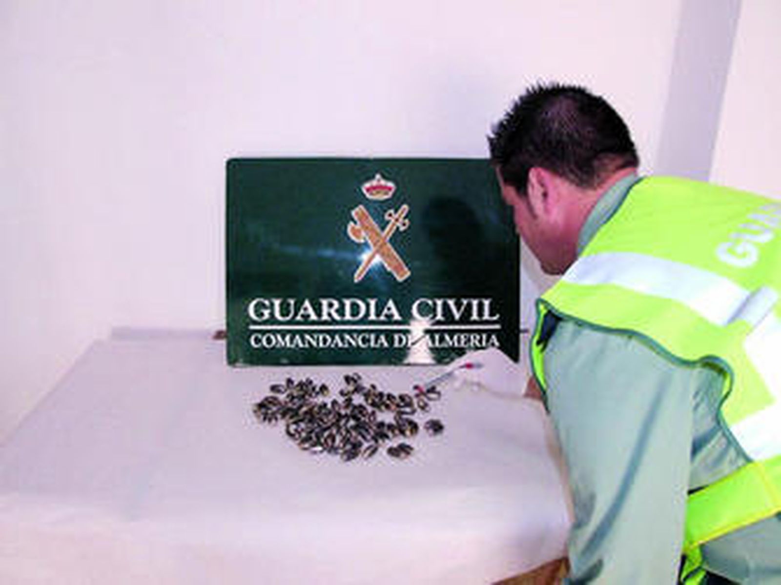 Un guardia civil examina varias bolas de hachís.