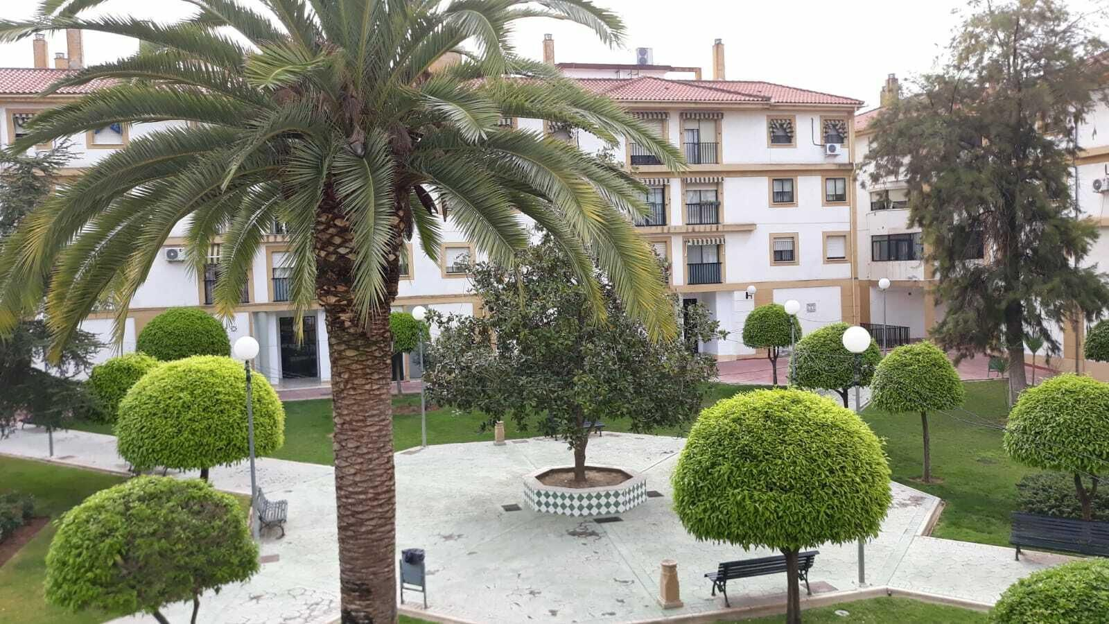 Coronavirus en Córdoba: '#CórdobaDesdeMiVentana', las imágenes de los cordobeses en estado de alerta