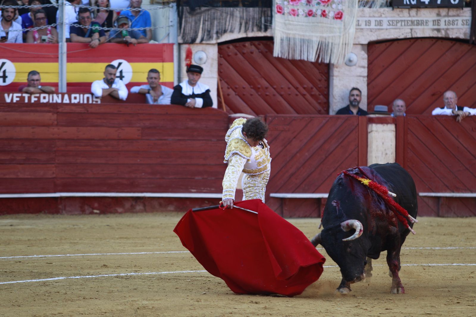 Imágenes del triunfo del torero almeriense Jorge Martínez el día de su alternativa
