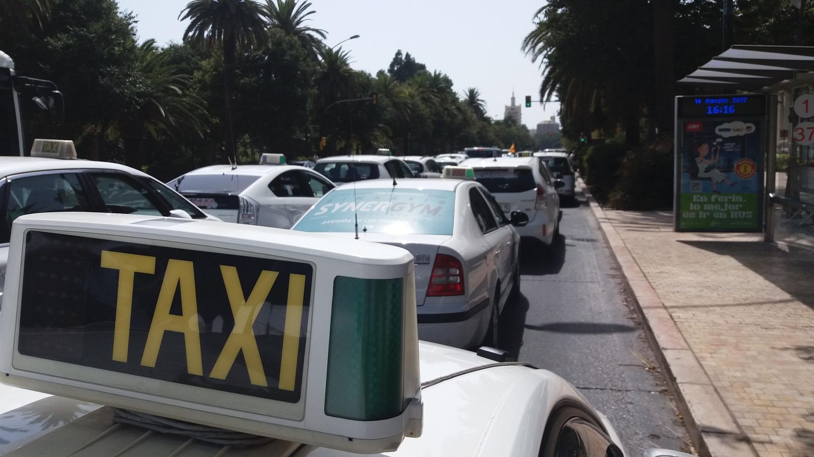Taxis toman el Paseo del Parque durante la protesta en el último paro de servicio.