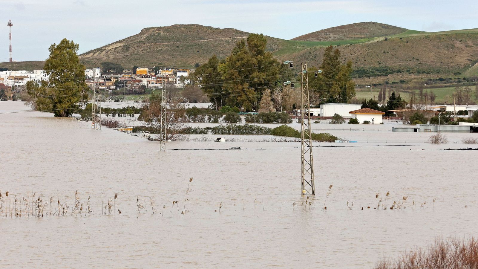 El Guadalete comienza a bajar su nivel poco a poco por la zona rural de Jerez
