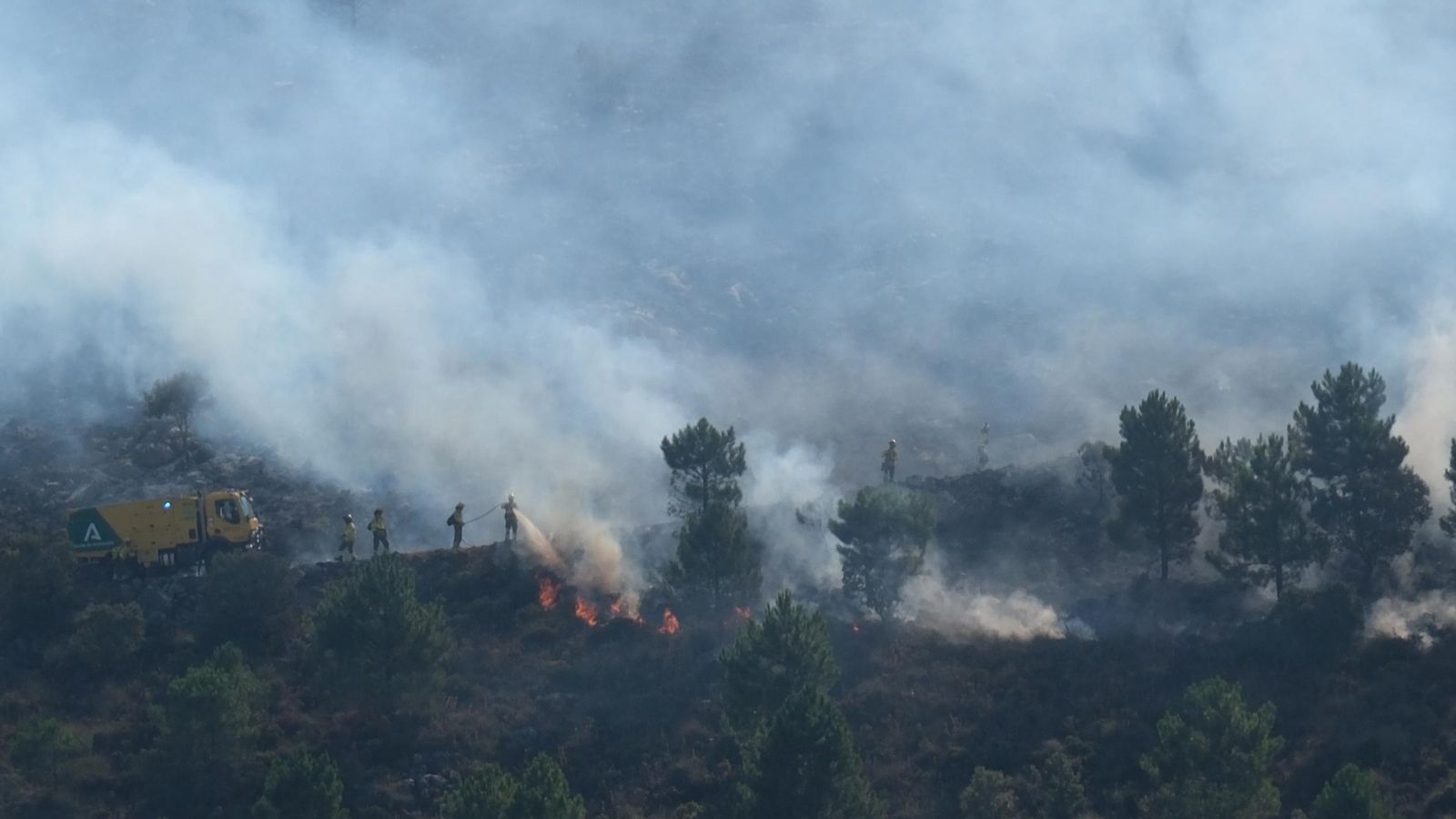 Efectivos del Infoca trabajando sobre el terreno.