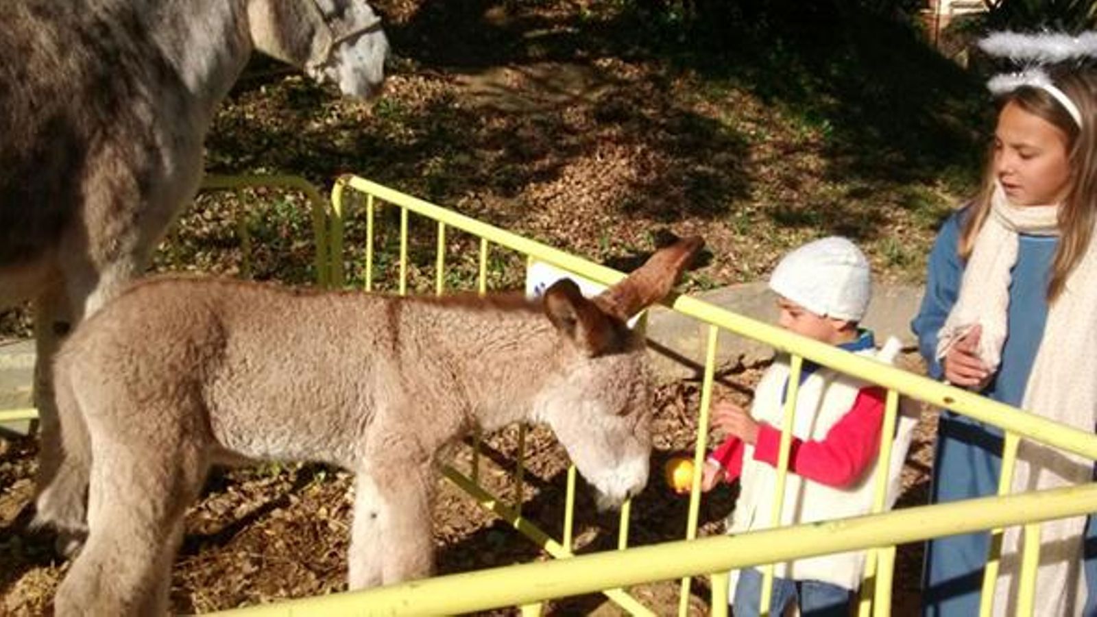 Belén viviente de Gelves.