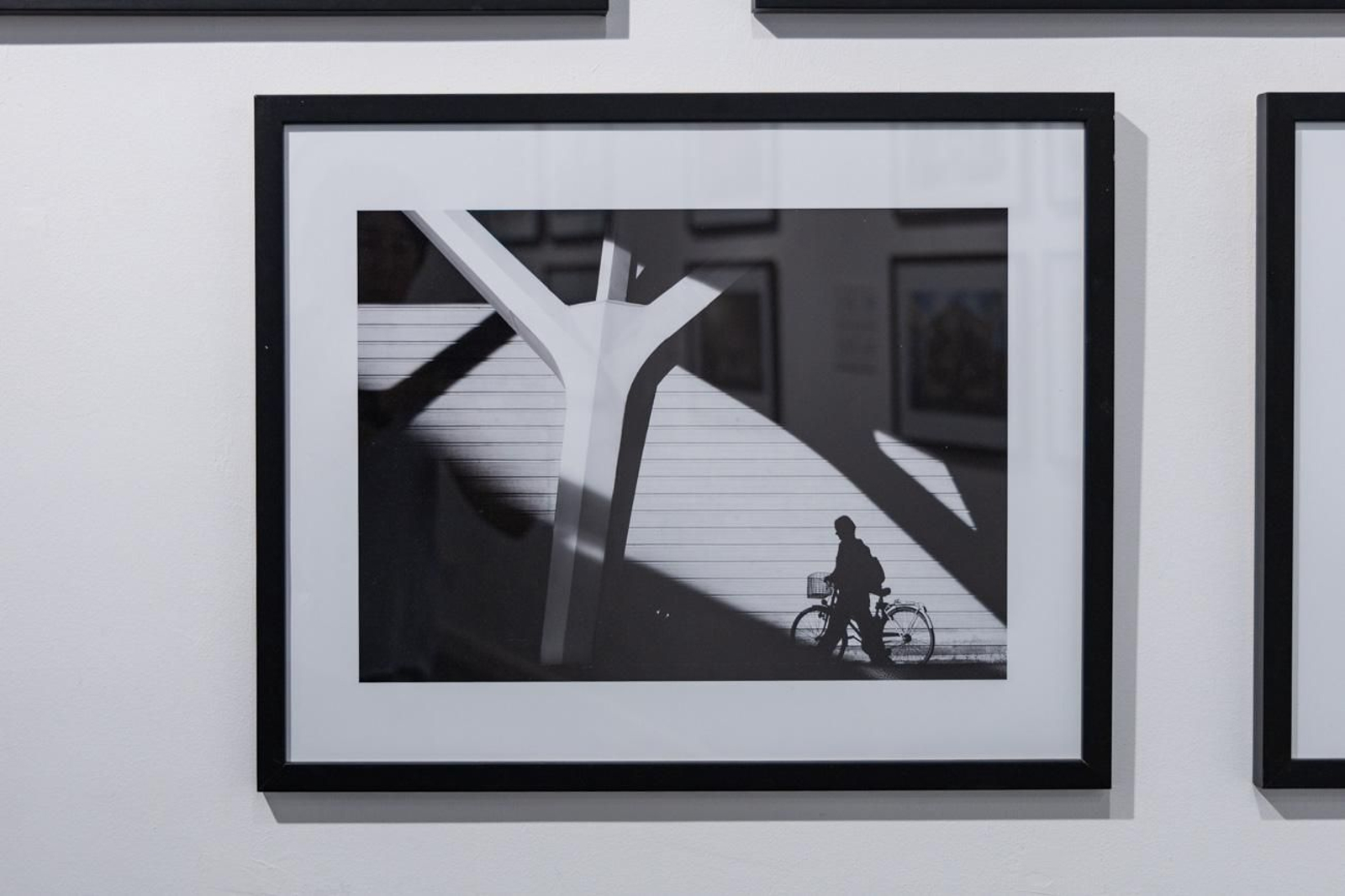 Fotografía para un mundo mejor en la Escuela José Nogué