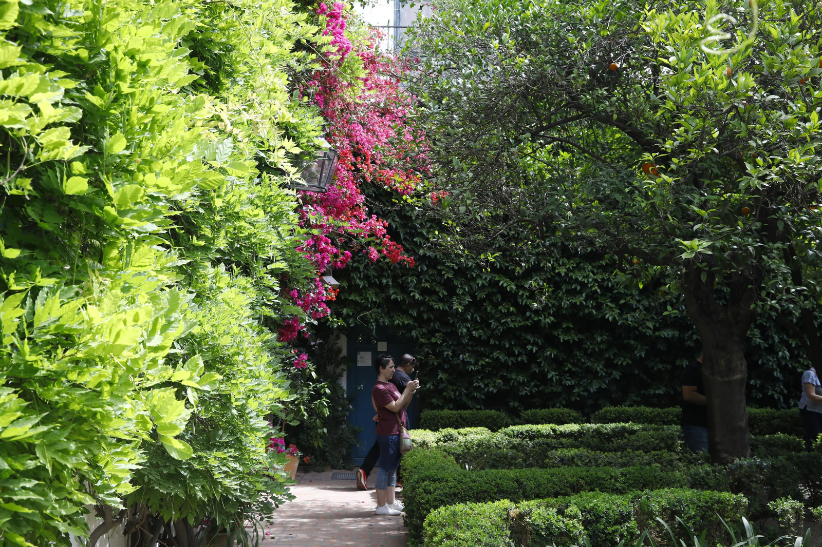La jornada de puertas abiertas en el Palacio de Viana de Cordoba, en imágenes