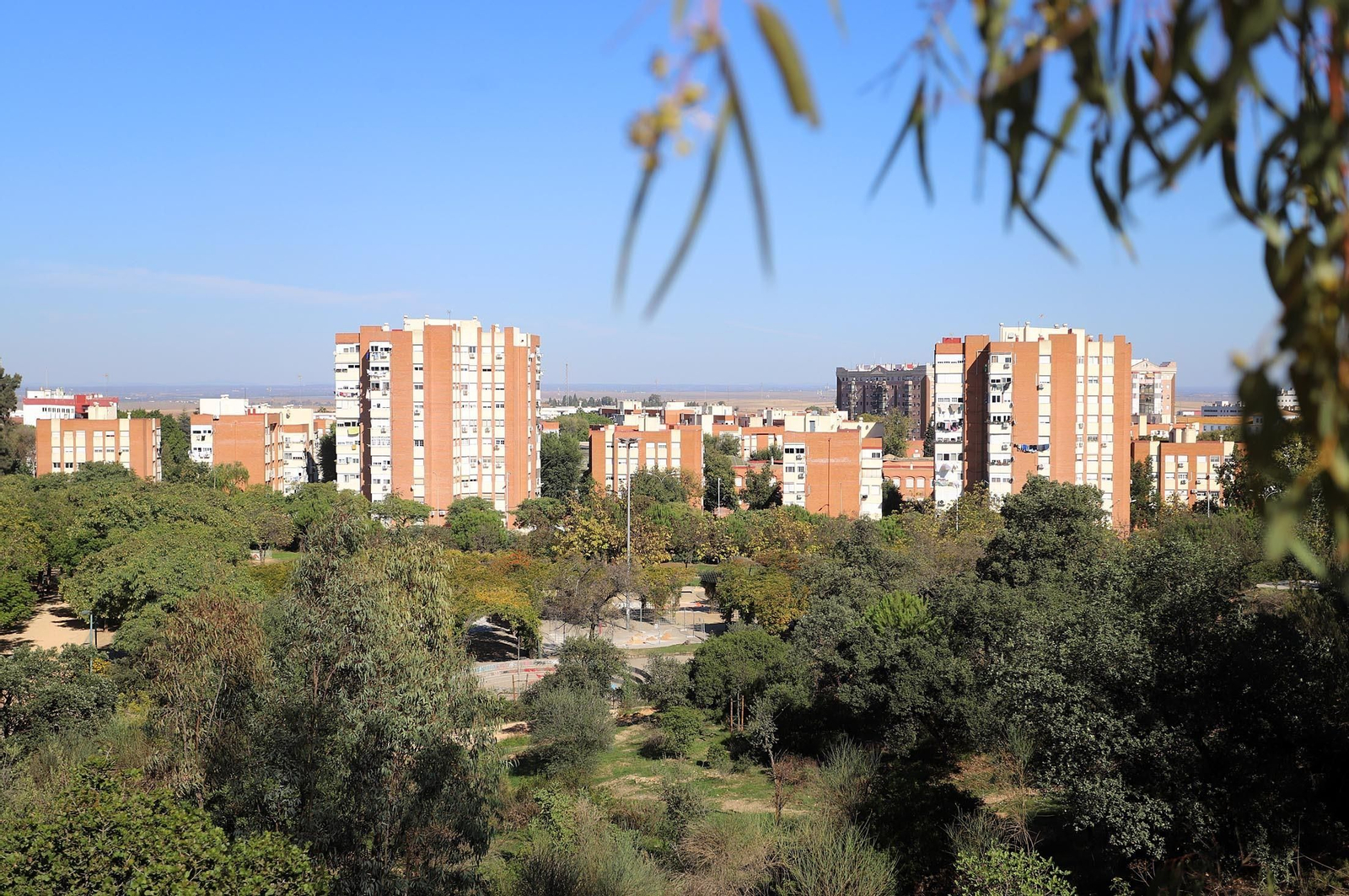 Barrio a barrio: Imágenes de Santa Marta