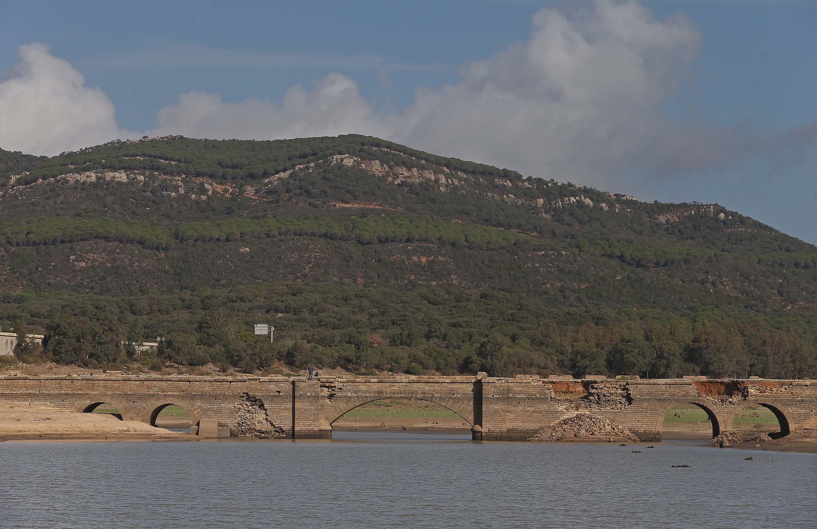 Imágenes del pantano de Charco Redondo en Los Barrios