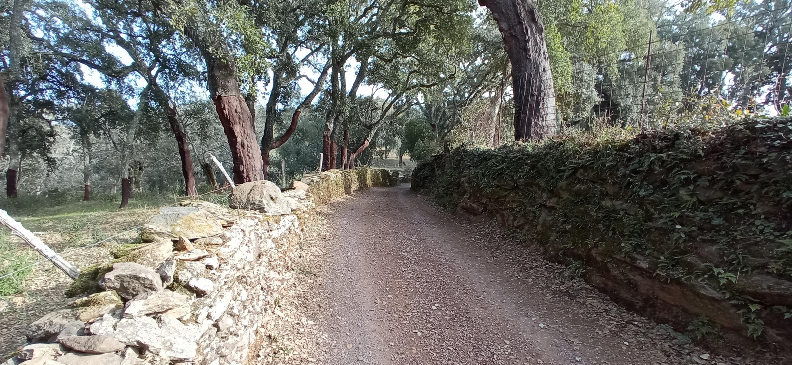 Las imágenes de la ruta de la Dehesa de Valdelama: De Los Marines a Fuenteheridos y vuelta