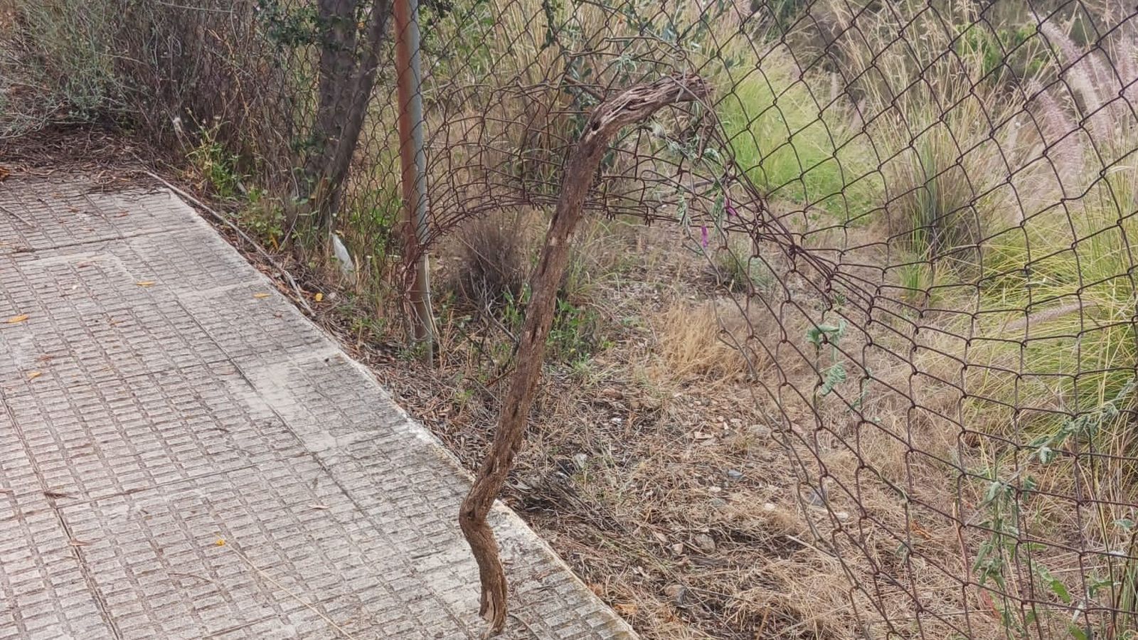 El vallado ha sido roto en diversas zonas para acceder a la finca.