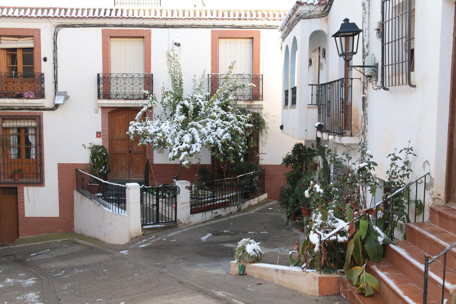 La nieve cubre de blanco la Alpujarra Almeriense