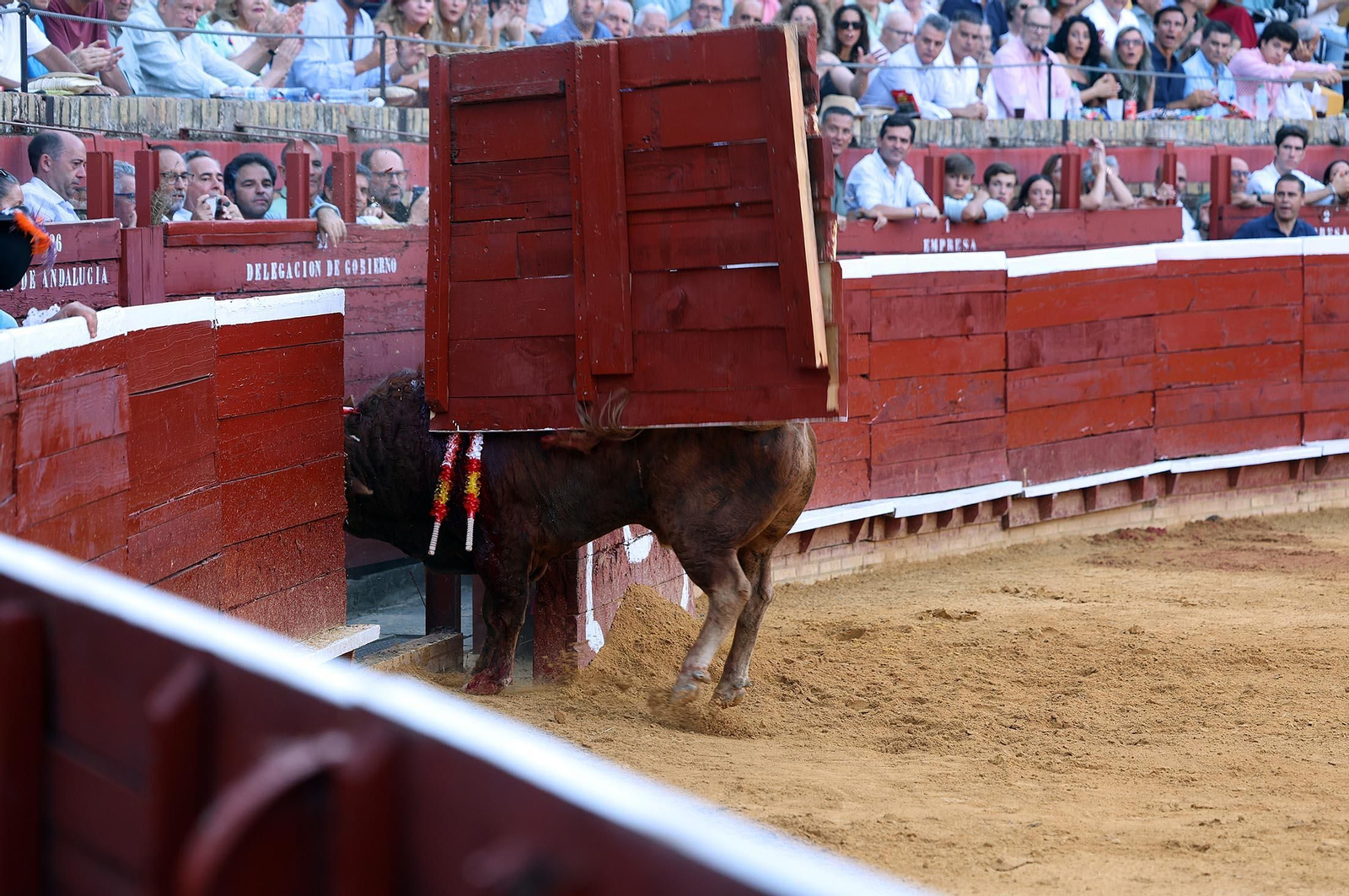 Toros La Merced 2025: Imágenes de la corrida de David de Miranda, Marco Pérez y Borja Jiménez